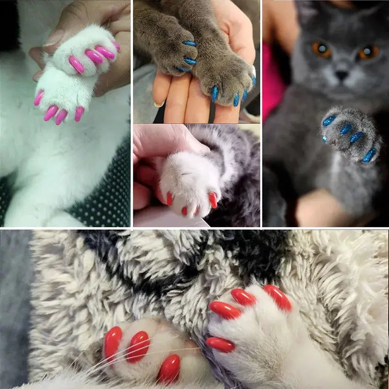 Cat Nail Caps | Soft Plastic With Glue | PriceLows™