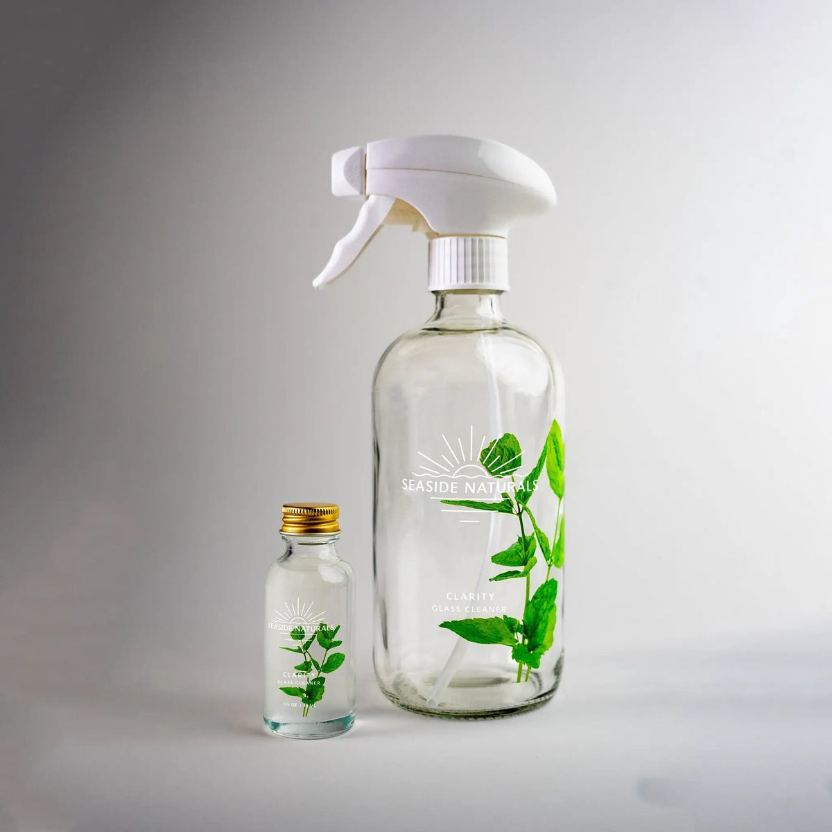 Clarity Glass Cleaner Kit from PriceLows™