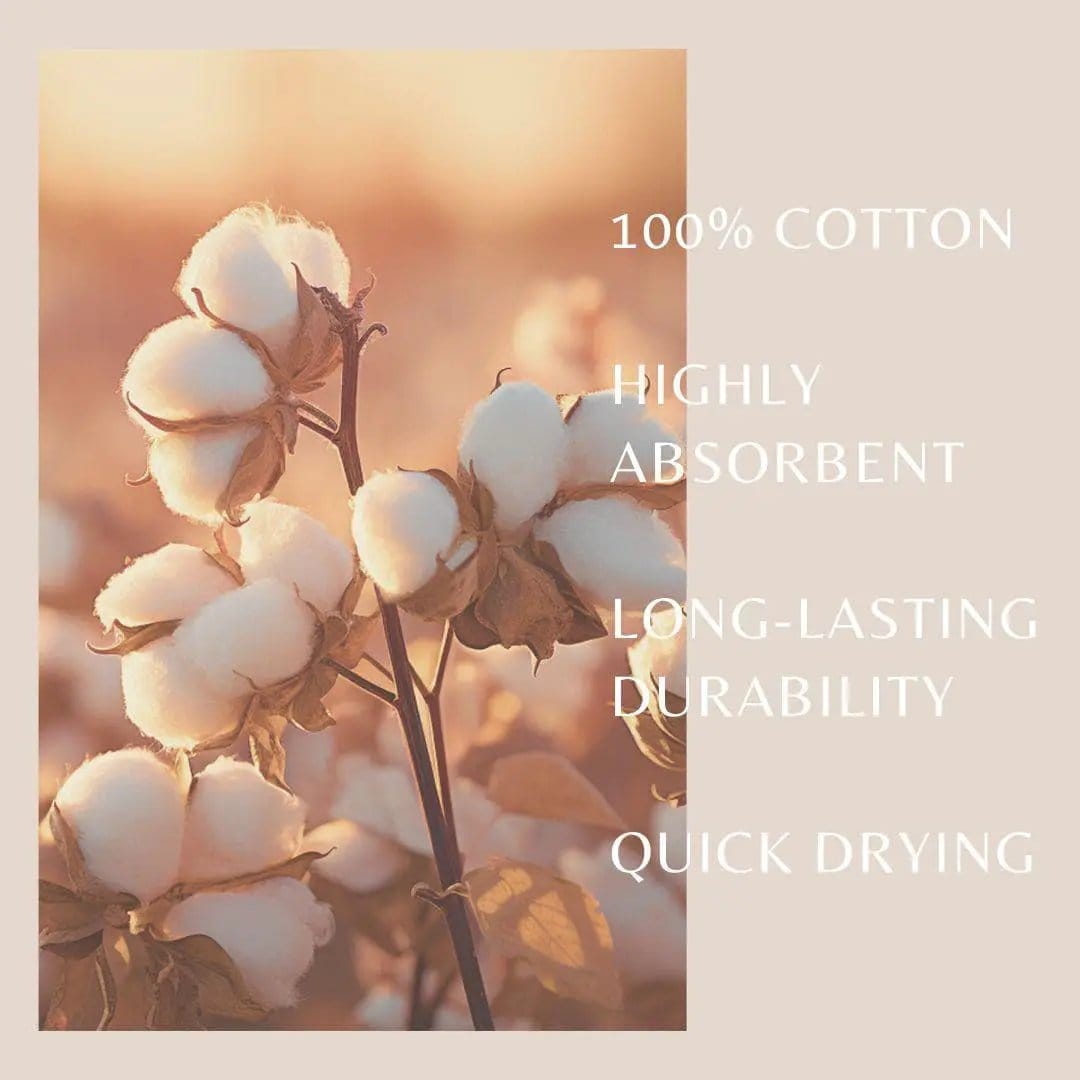 6 Pack Cotton Hand Towels - Kasper Collection from PriceLows™