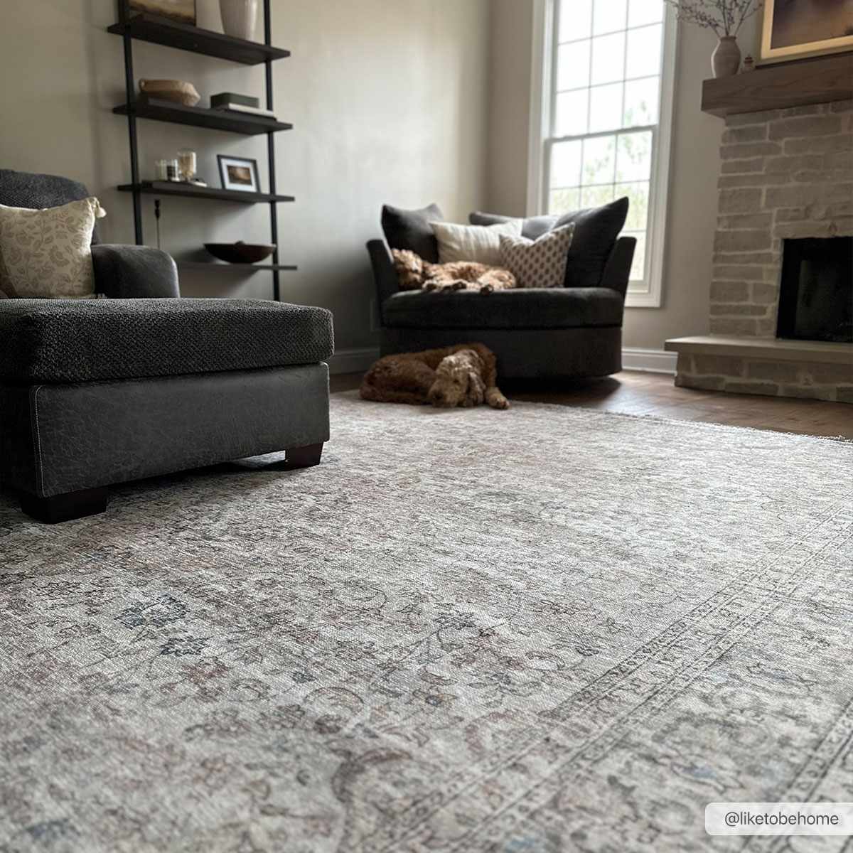 Cream Holi-2301 Washable Area Rug from PriceLows™
