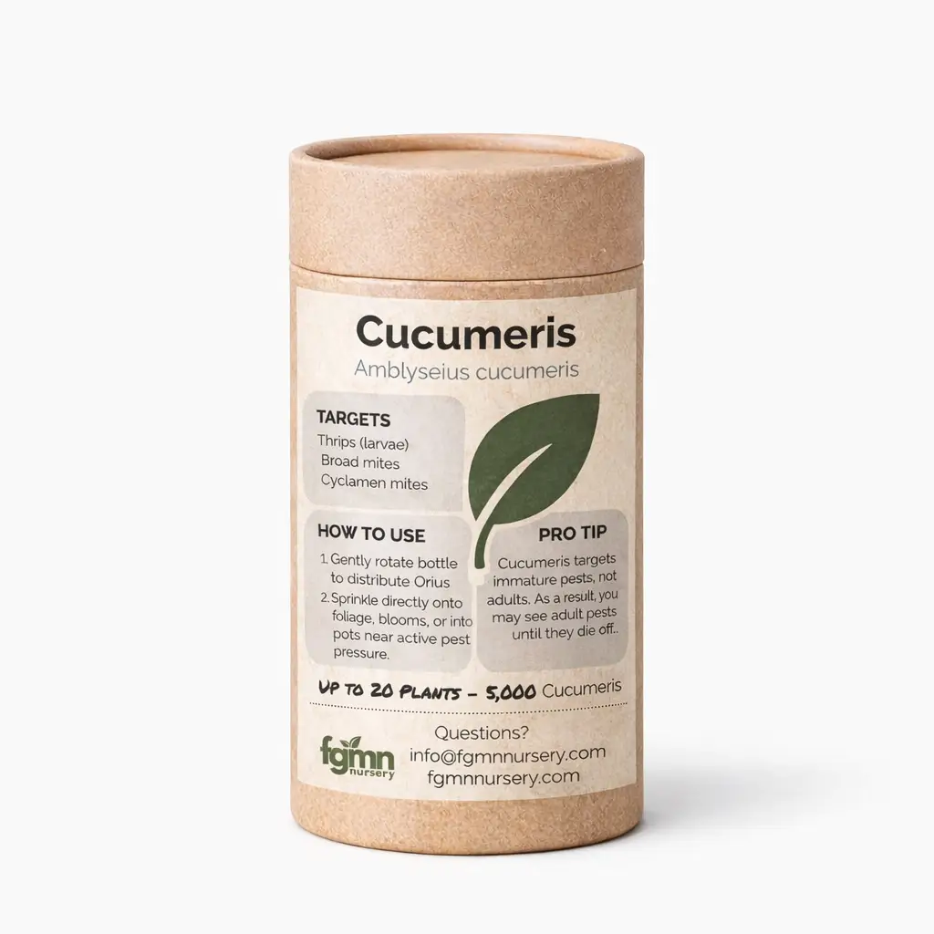 Amblyseius cucumeris from PriceLows™