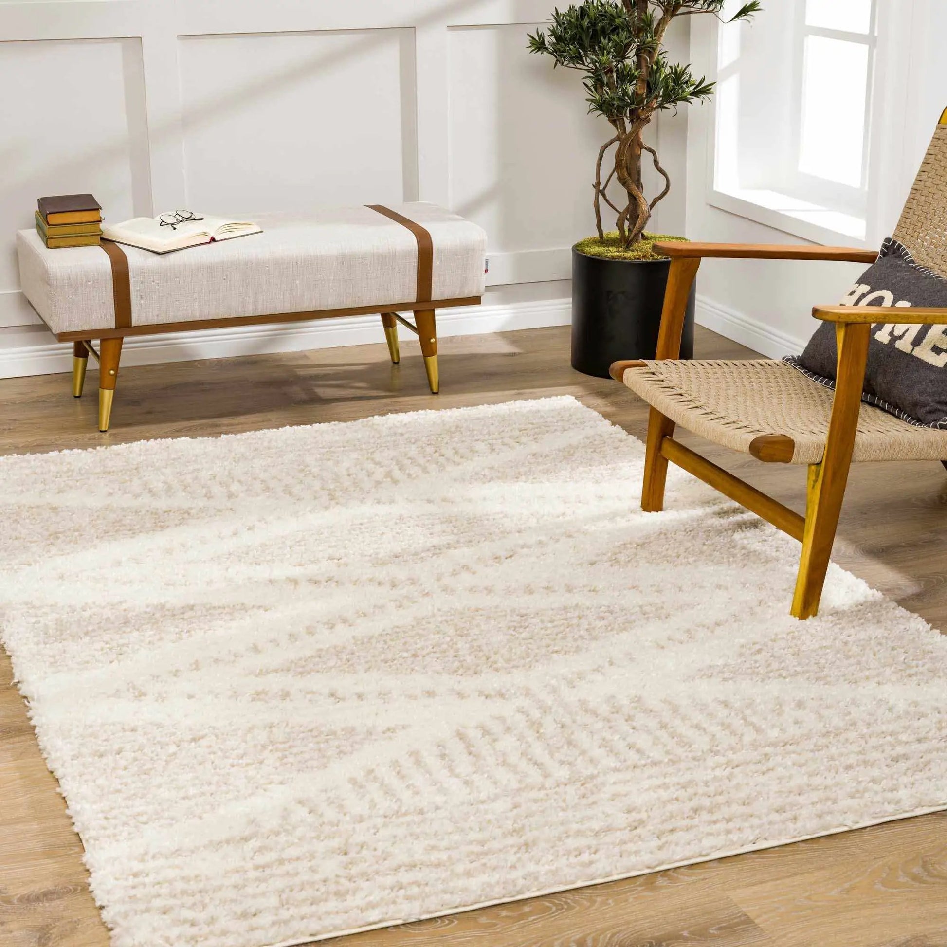Trunding Plush Area Rug in Light Beige from PriceLows™