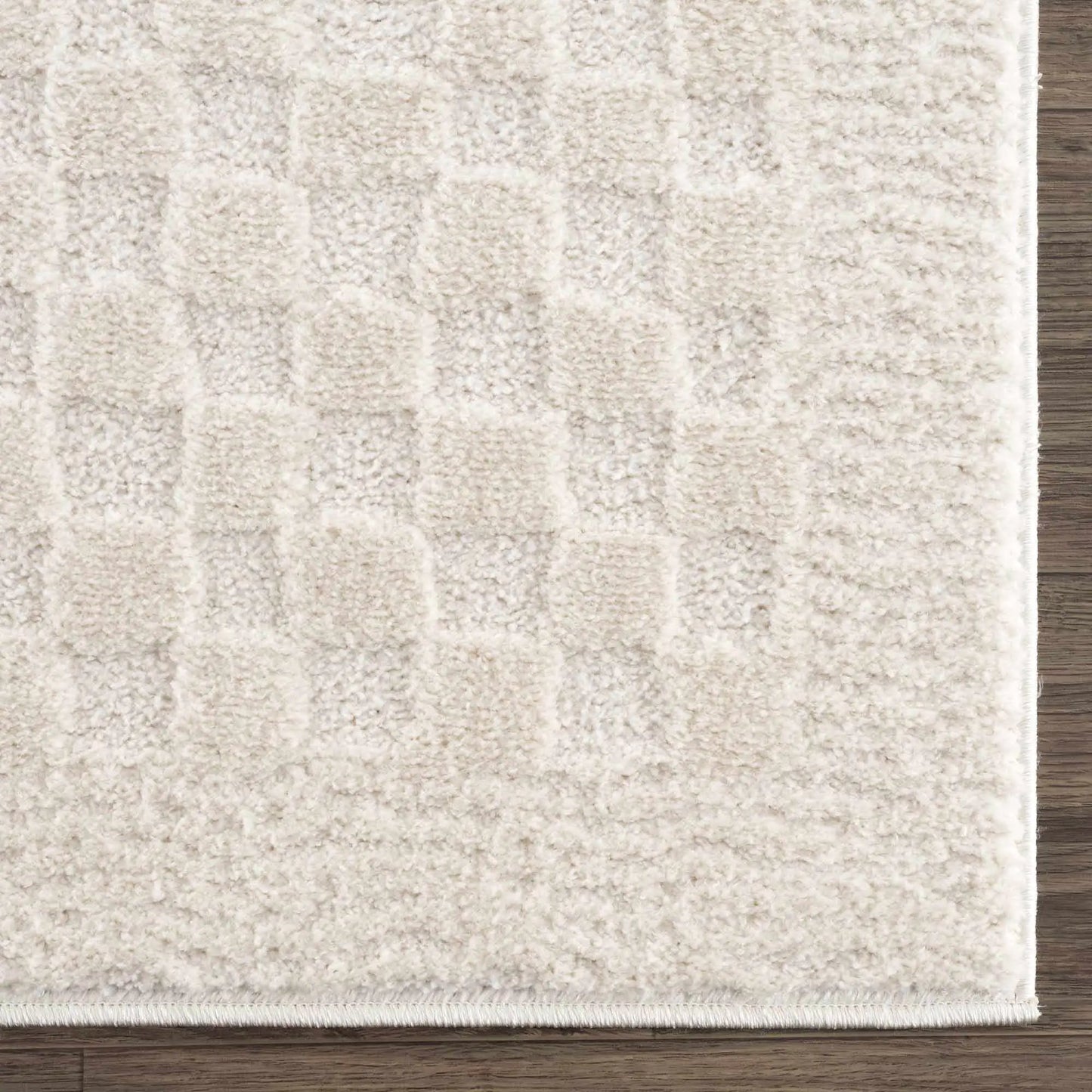 Leryn Ivory Checkered Area Rug from PriceLows™