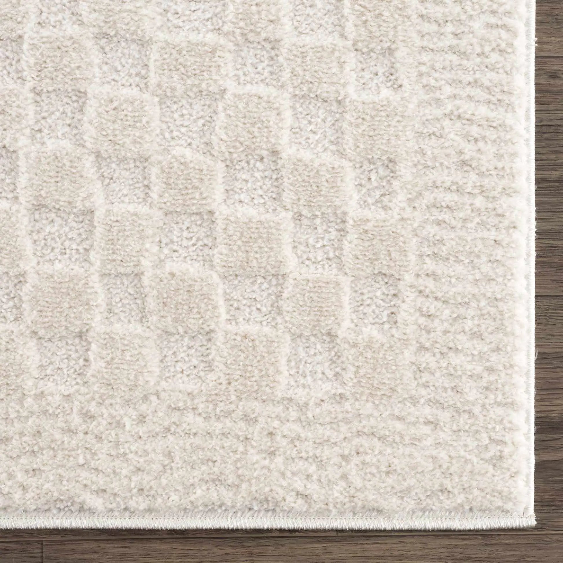 Leryn Ivory Checkered Area Rug from PriceLows™