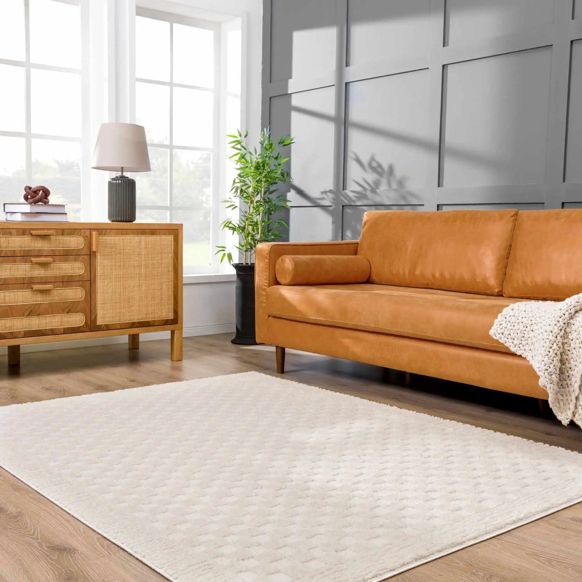 Leryn Ivory Checkered Area Rug from PriceLows™
