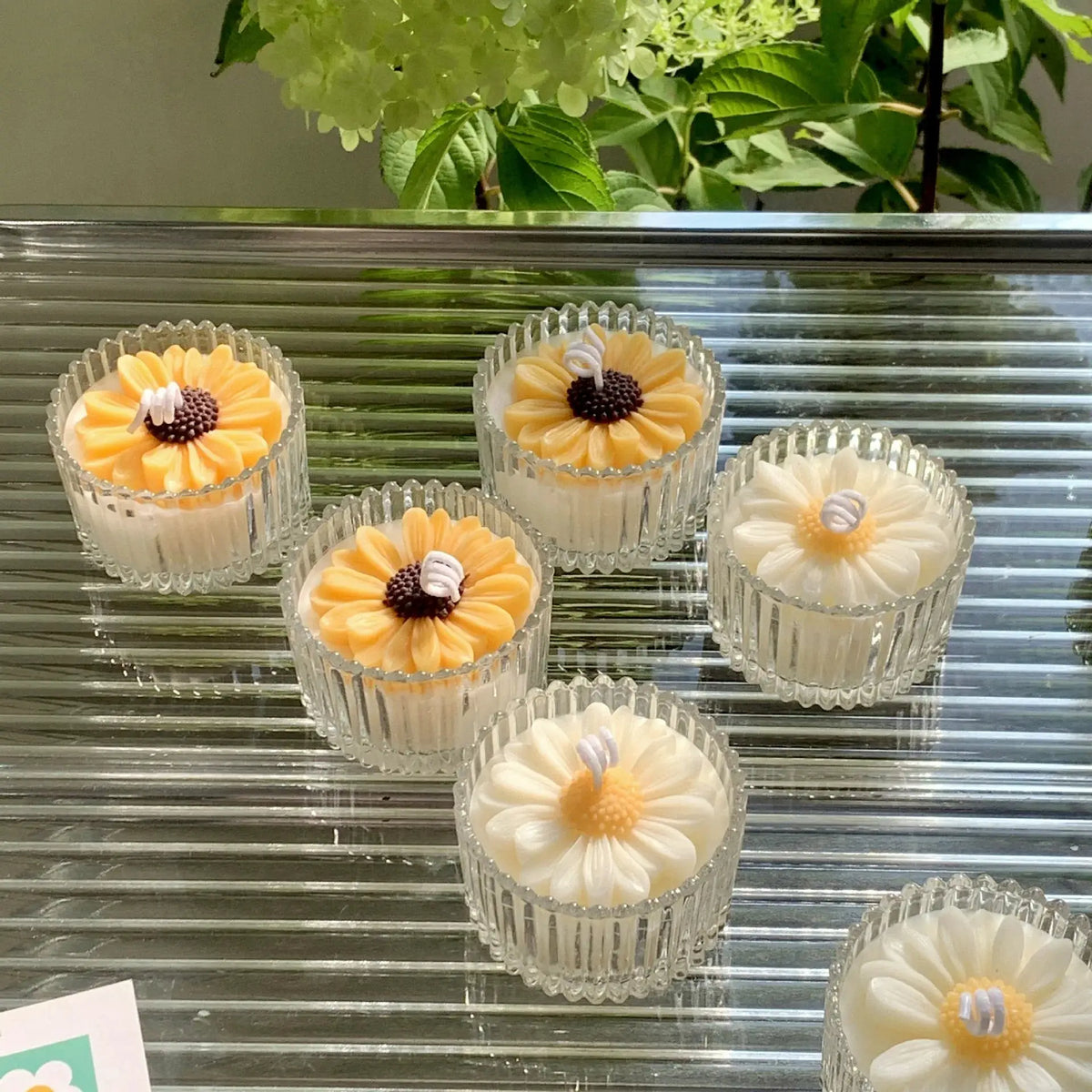 Glass Aromatherapy Candle | Chamomile Scent | PriceLows™