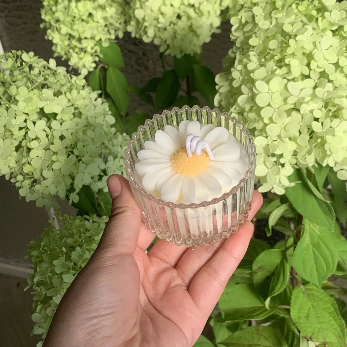 Glass Aromatherapy Candle | Chamomile Scent | PriceLows™