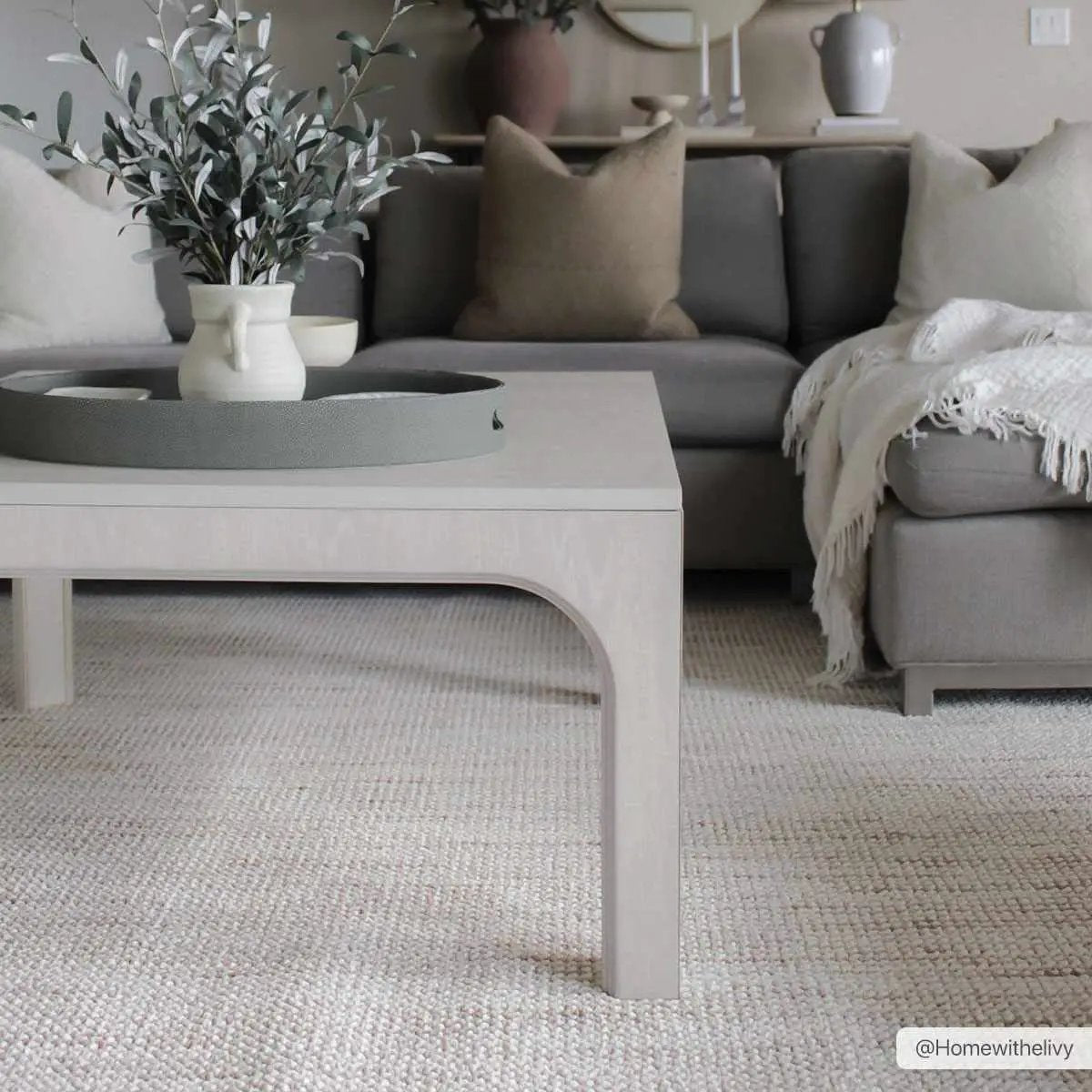 Gowan Beige Area Rug from PriceLows™