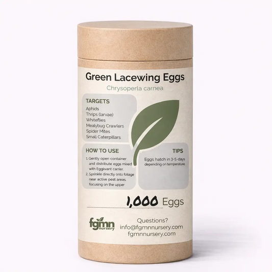 Green Lacewing Eggs from PriceLows™