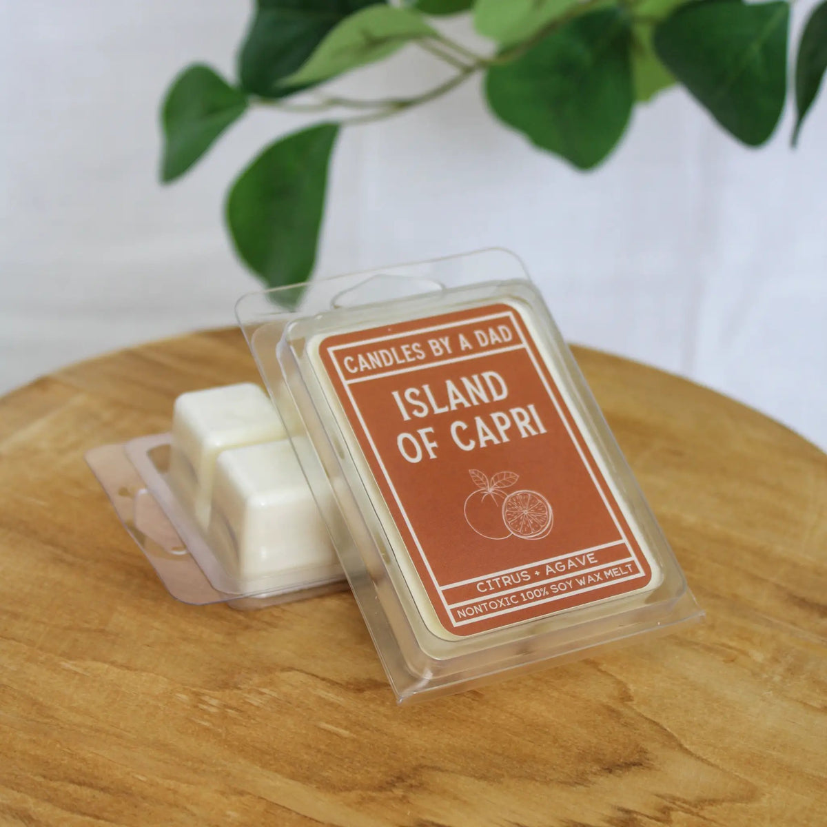 Wax Melts | Island Of Capri | Citrus Ocean Breeze | Pack Of 6