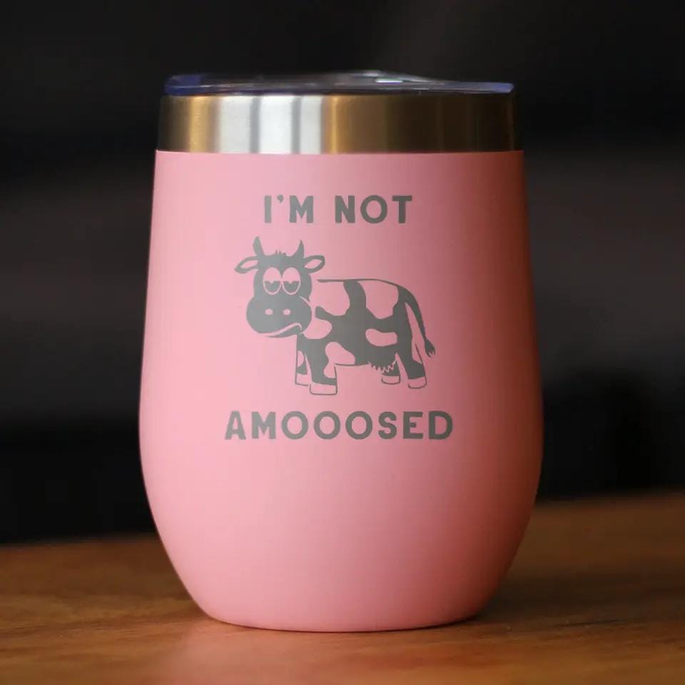 Insulated Stemless Wine Tumbler | 12 oz Stainless Steel | Sliding Lid | Not Amooosed