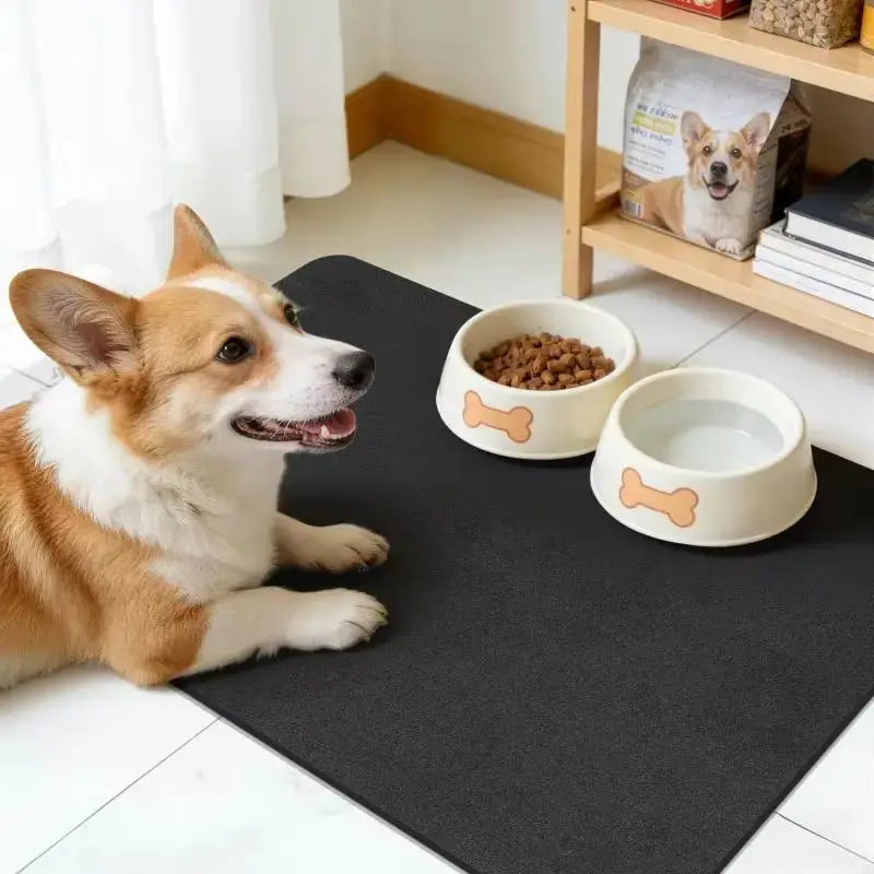 Kitchen Diatomite Mat | Super Absorbent | PriceLows™