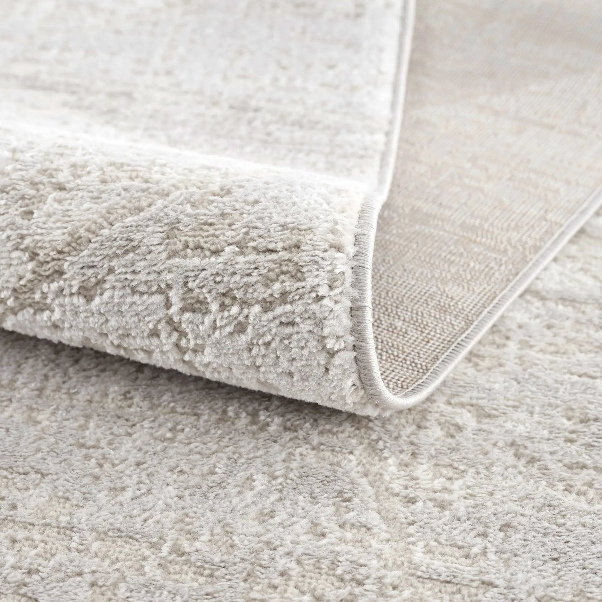 Basia Area Rug from PriceLows™