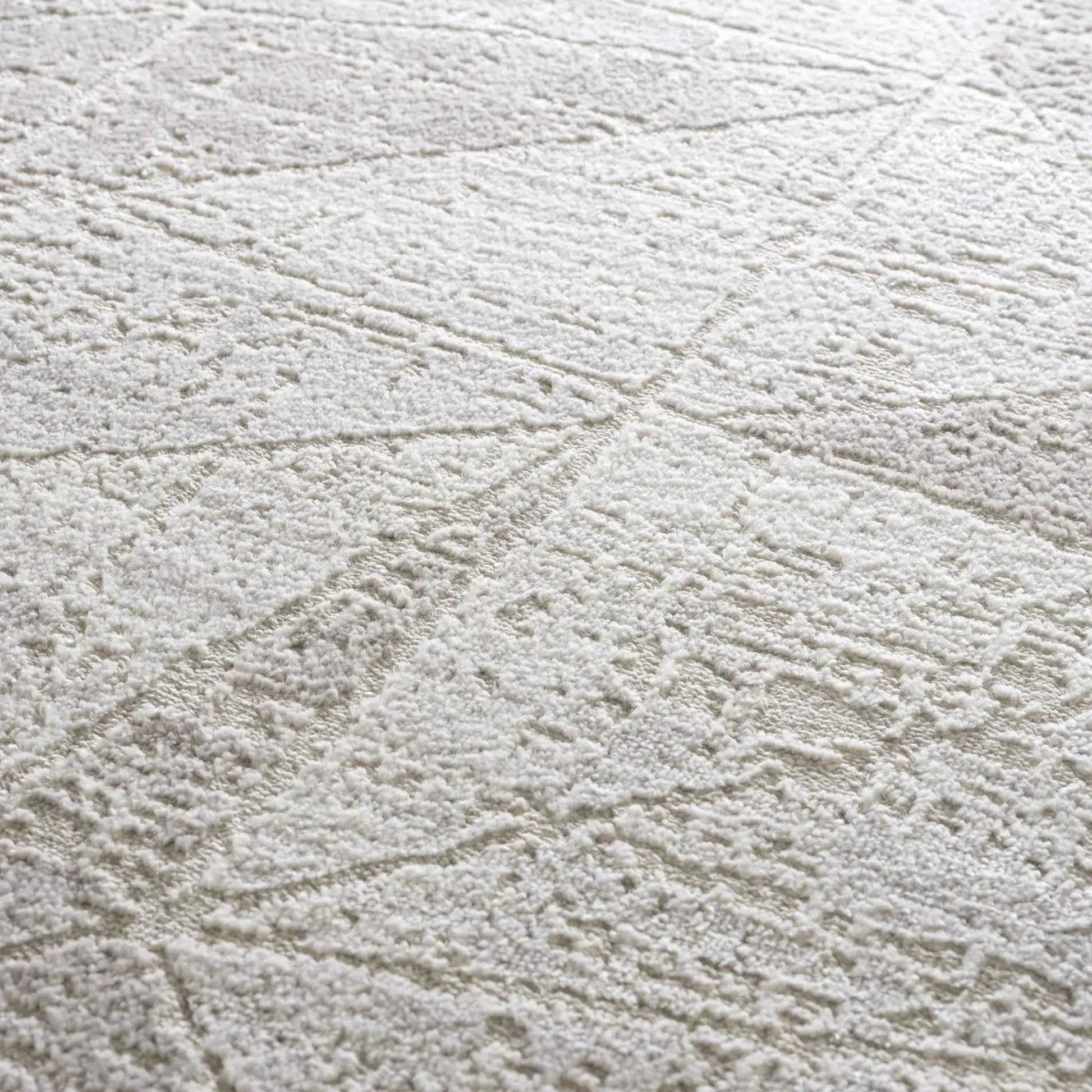 Basia Area Rug from PriceLows™