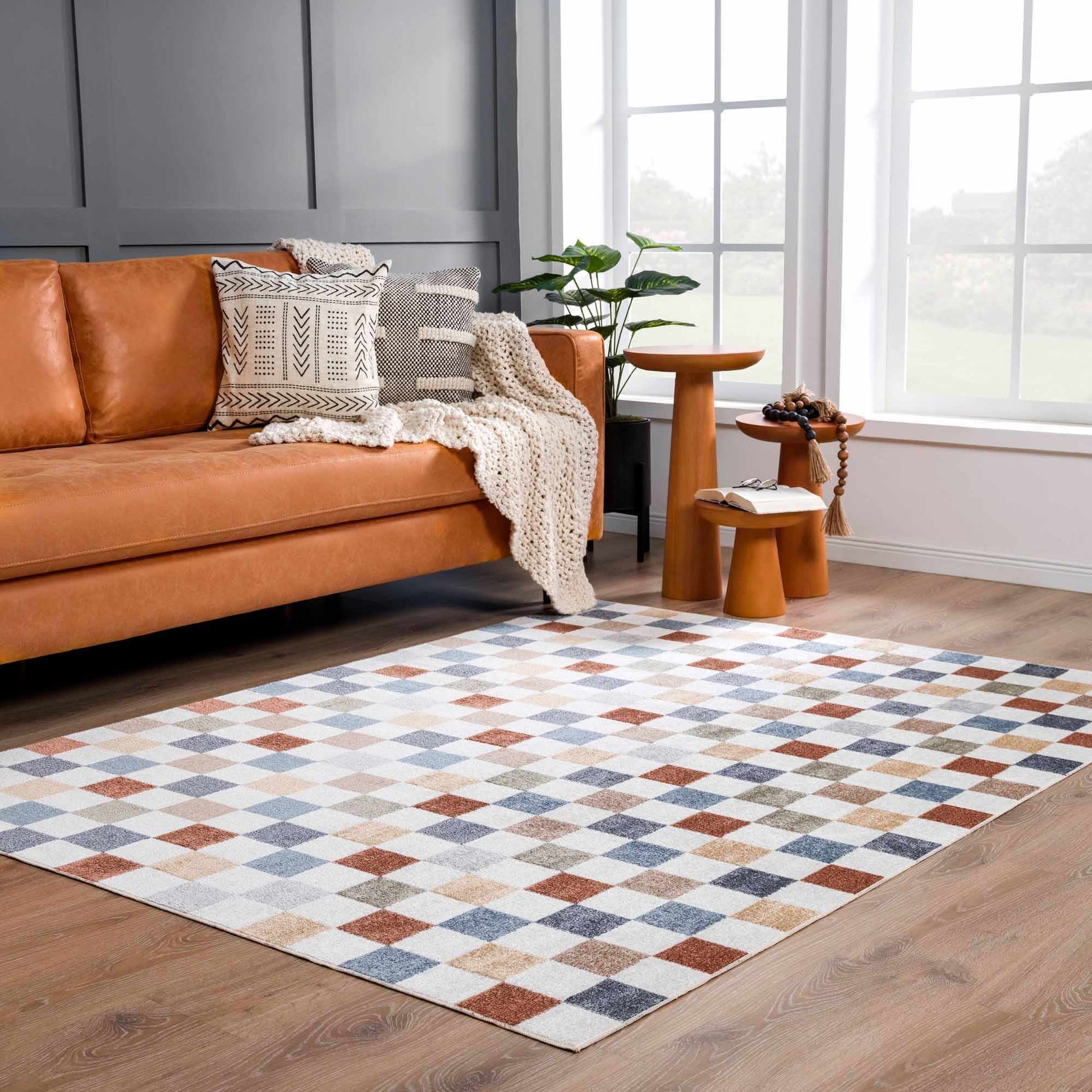 Alie Colorful Checkered Washable Rug from PriceLows™