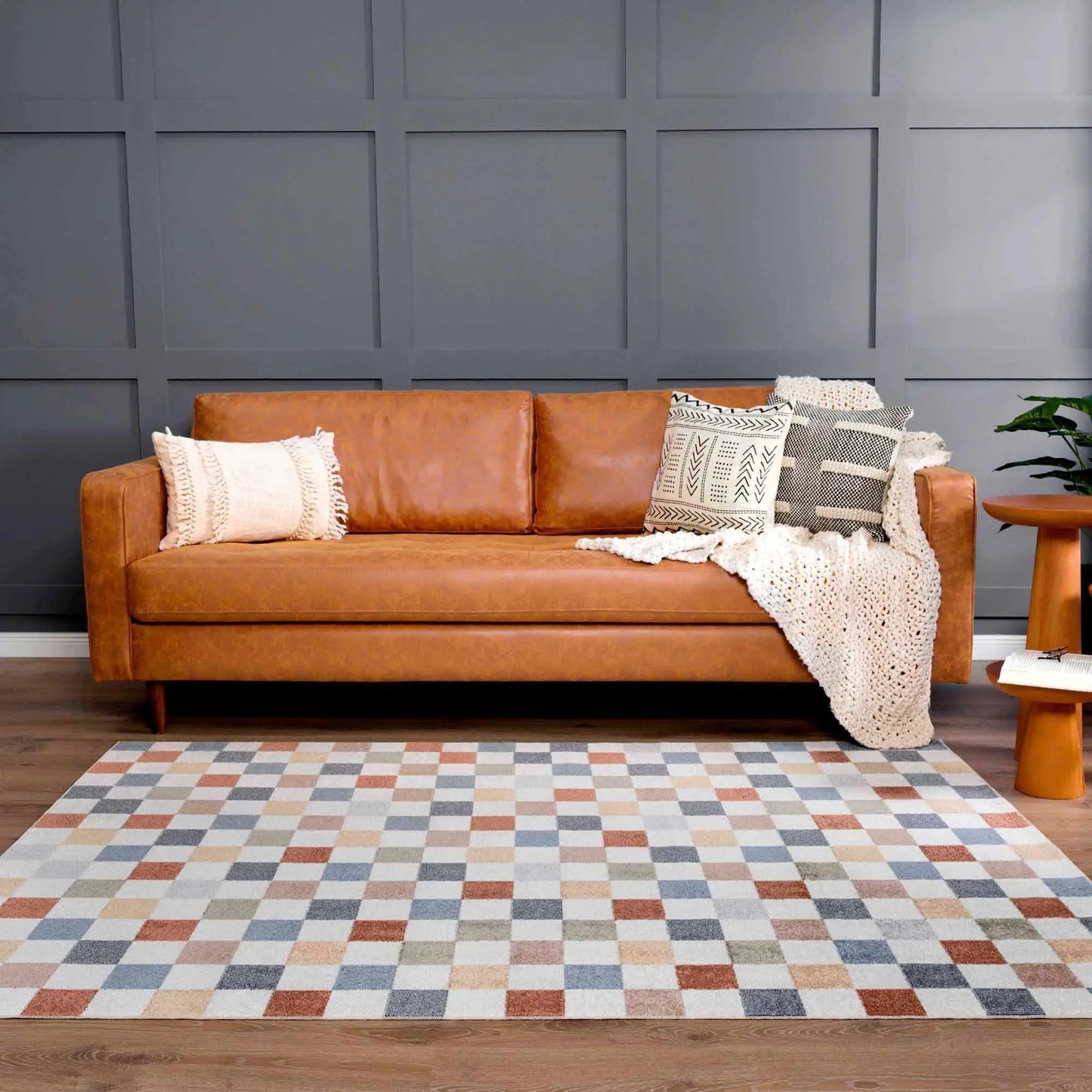 Alie Colorful Checkered Washable Rug from PriceLows™
