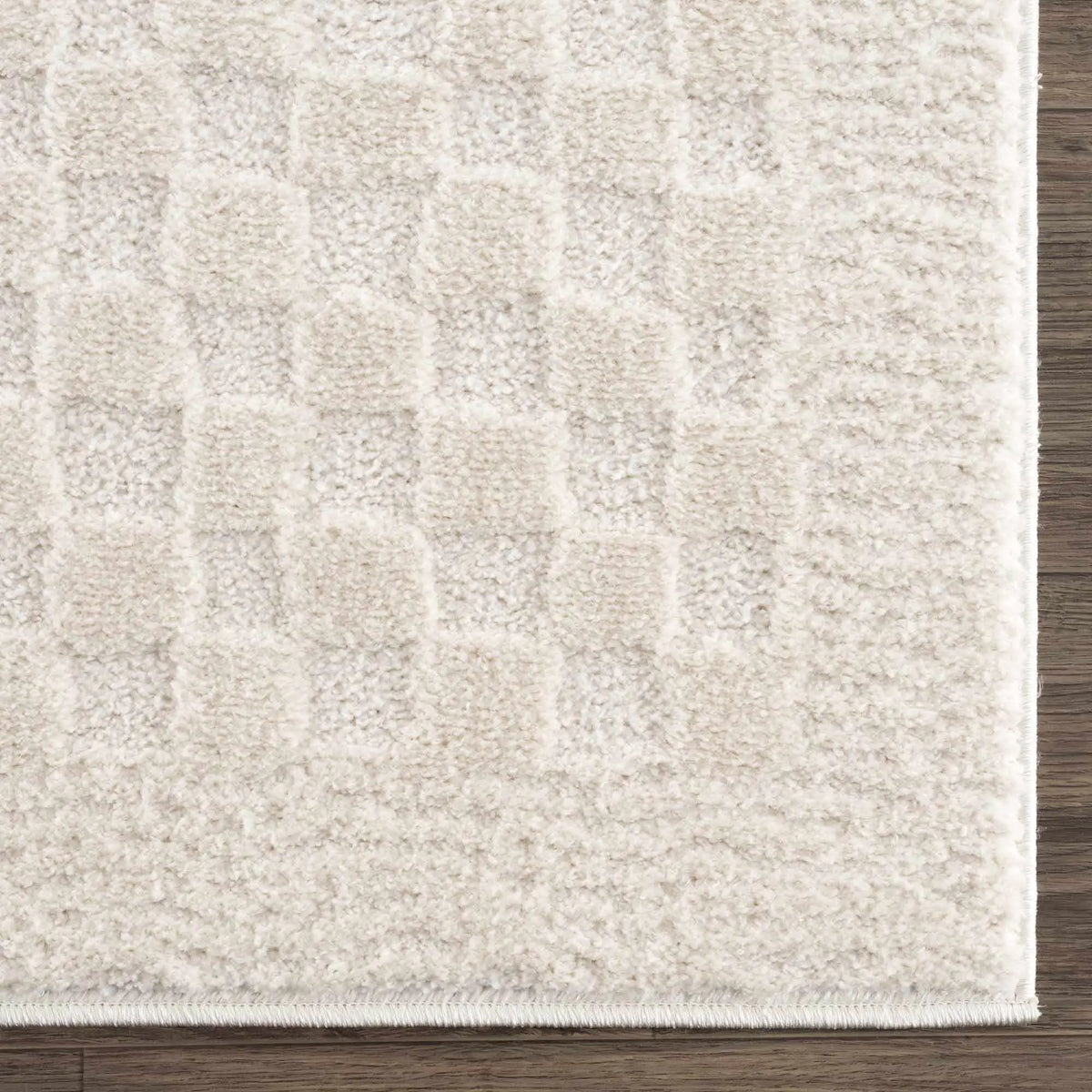 Leryn Ivory Checkered Area Rug from PriceLows™