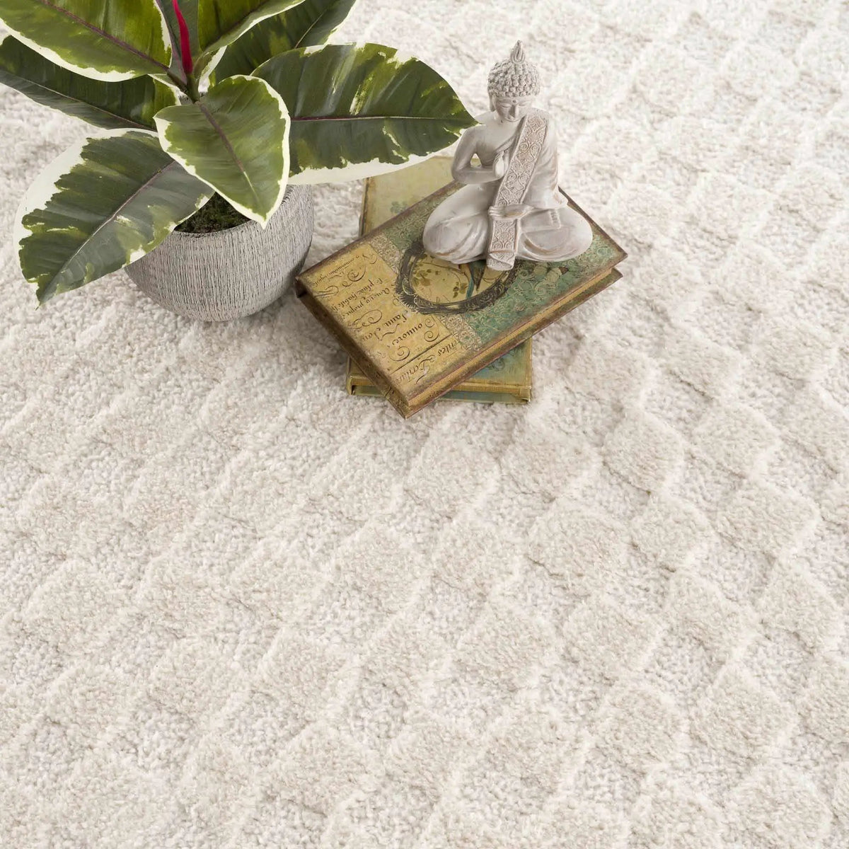 Leryn Ivory Checkered Area Rug from PriceLows™