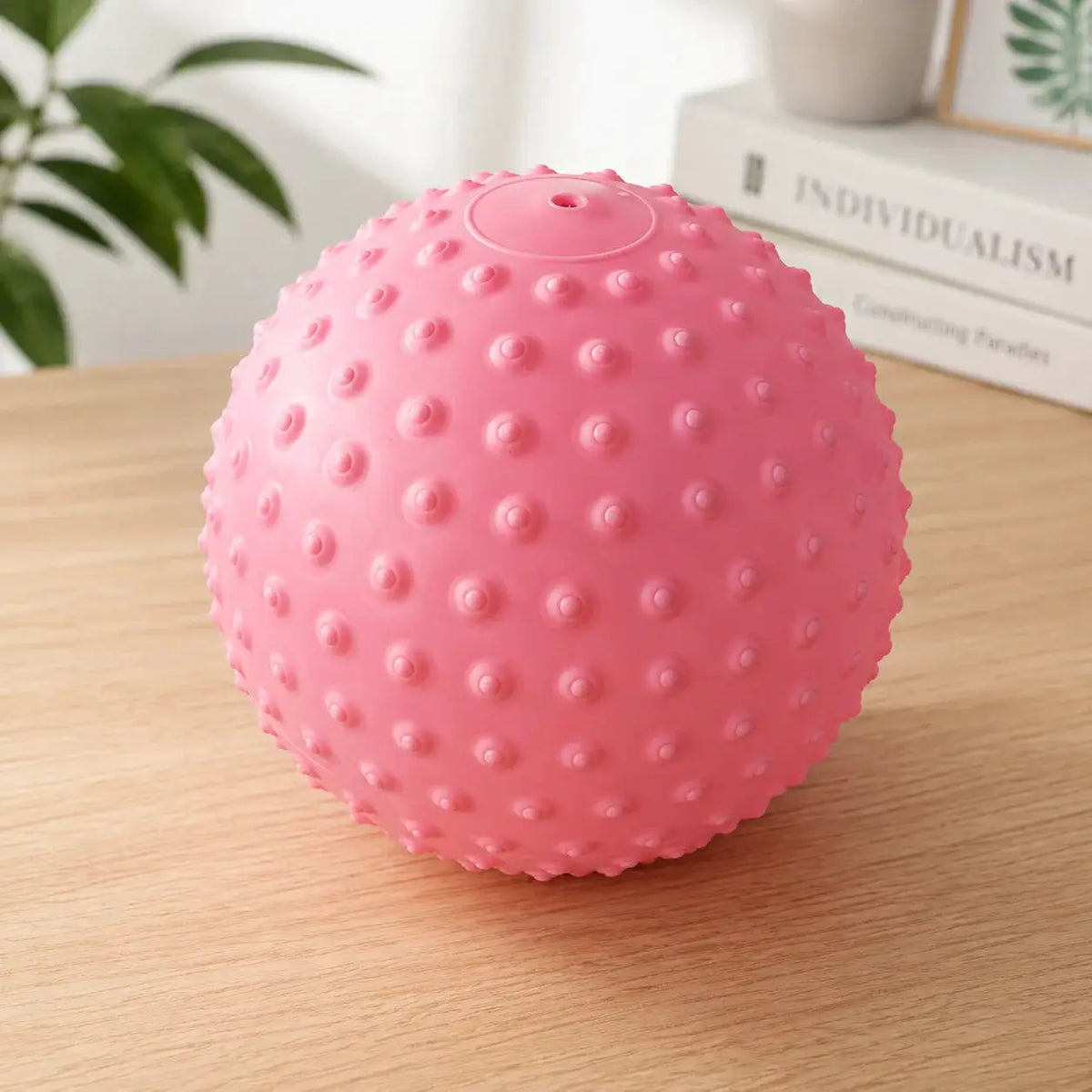 Mini Exercise Ball | 25cm Textured | PriceLows™