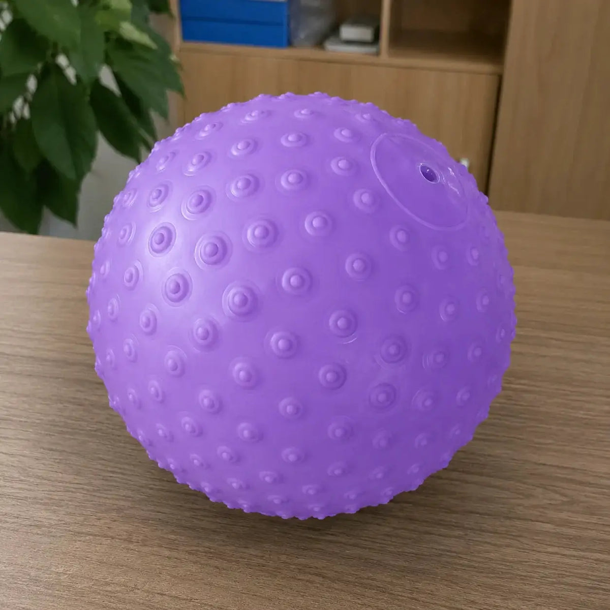Mini Exercise Ball | 25cm Textured | PriceLows™