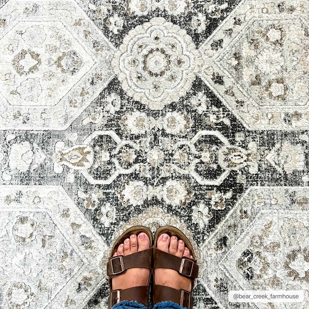 Minoa Area Rug from PriceLows™