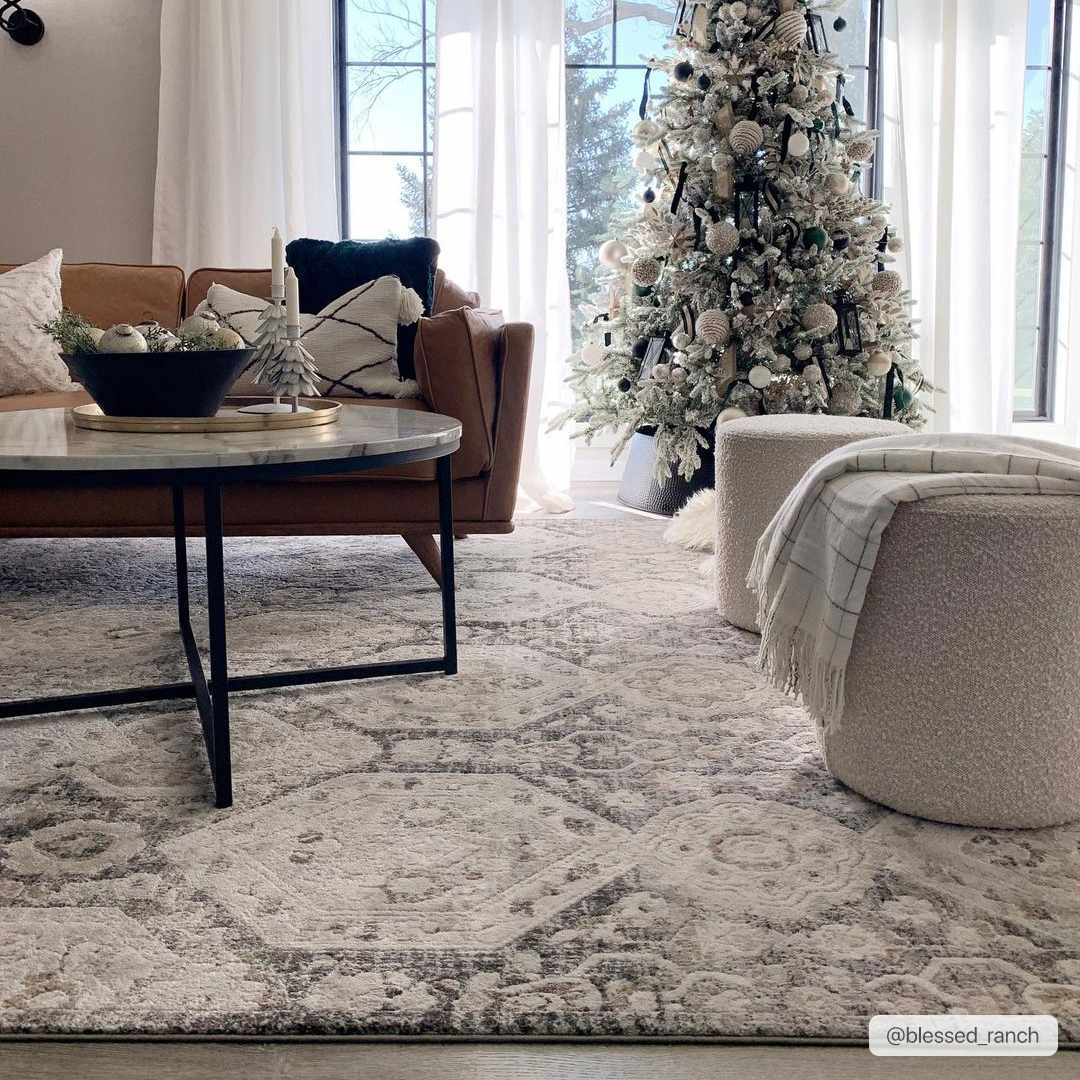 Minoa Area Rug from PriceLows™
