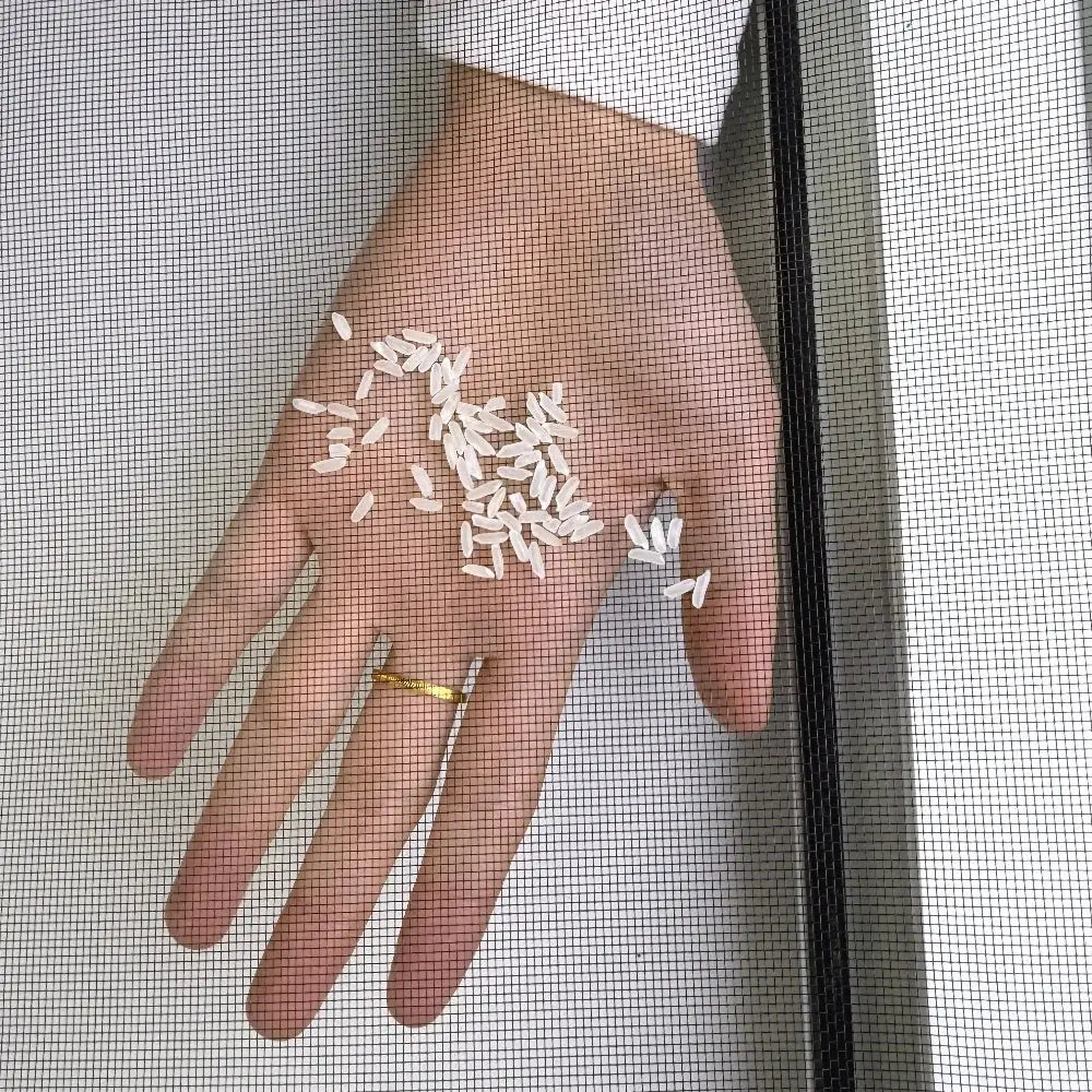 Mosquito Screen | Self Adhesive Zipper | PriceLows™