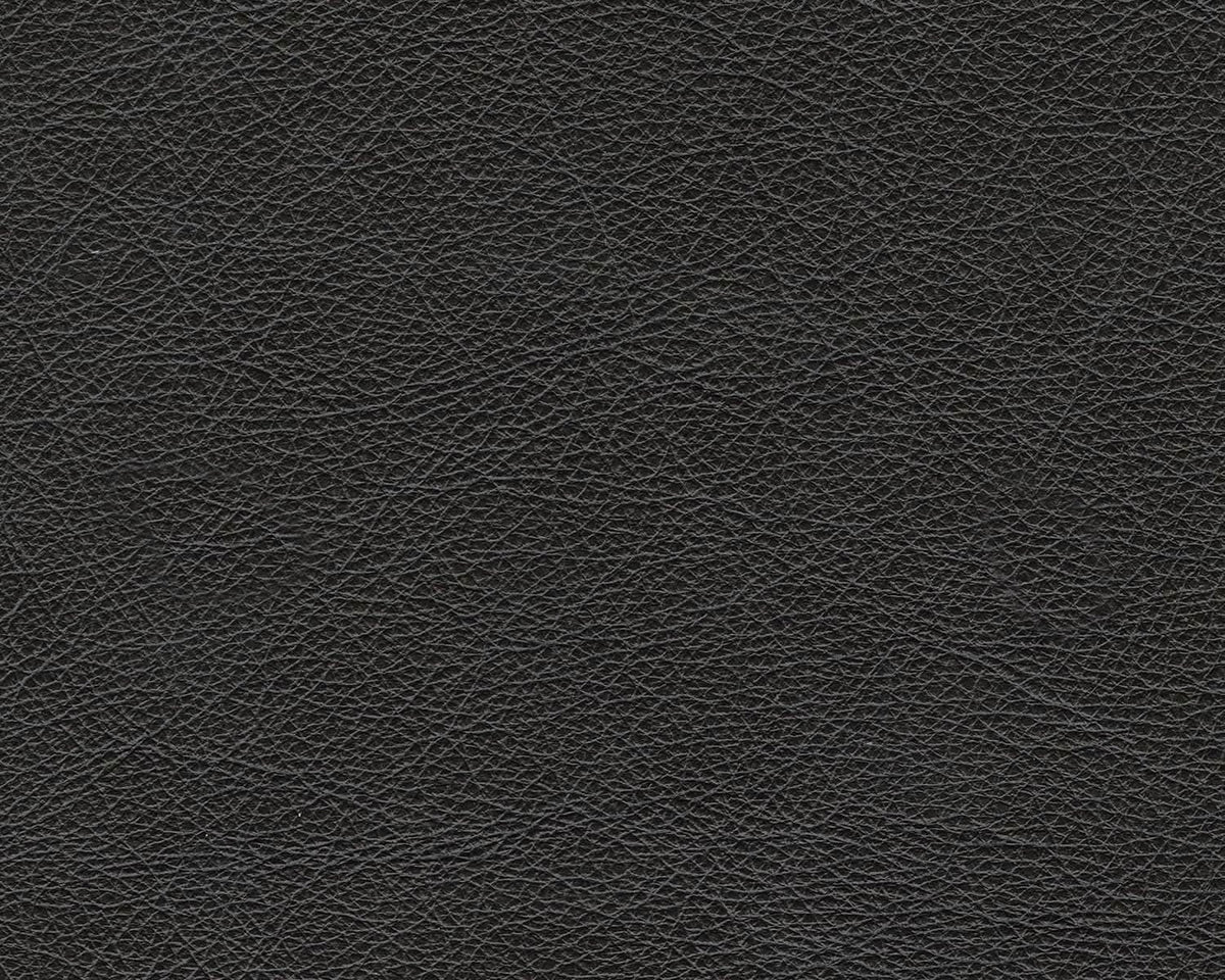 Contemporary Black Cushioned Rectangular Ottoman Finish from PriceLows™