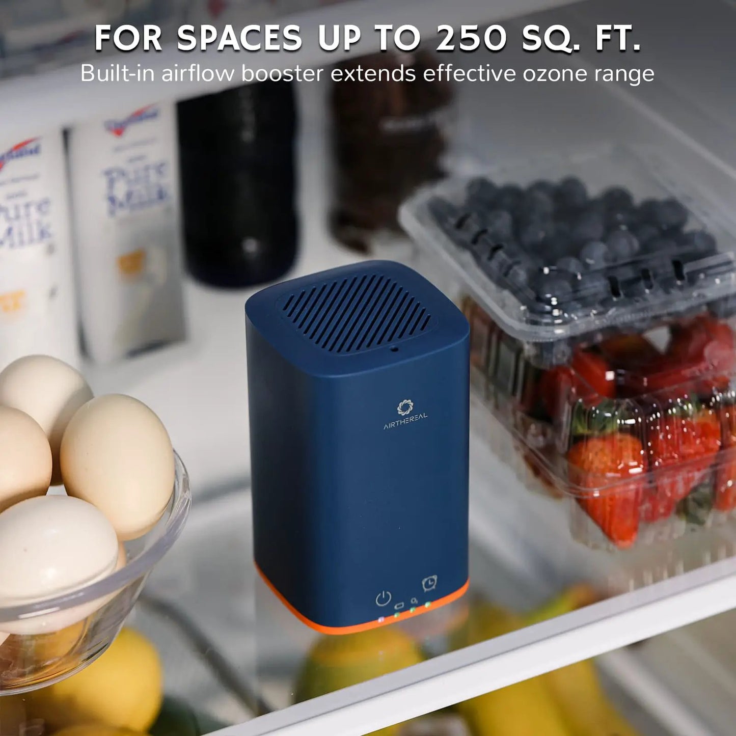 PA300-GO Portable Ozone Generator from PriceLows™