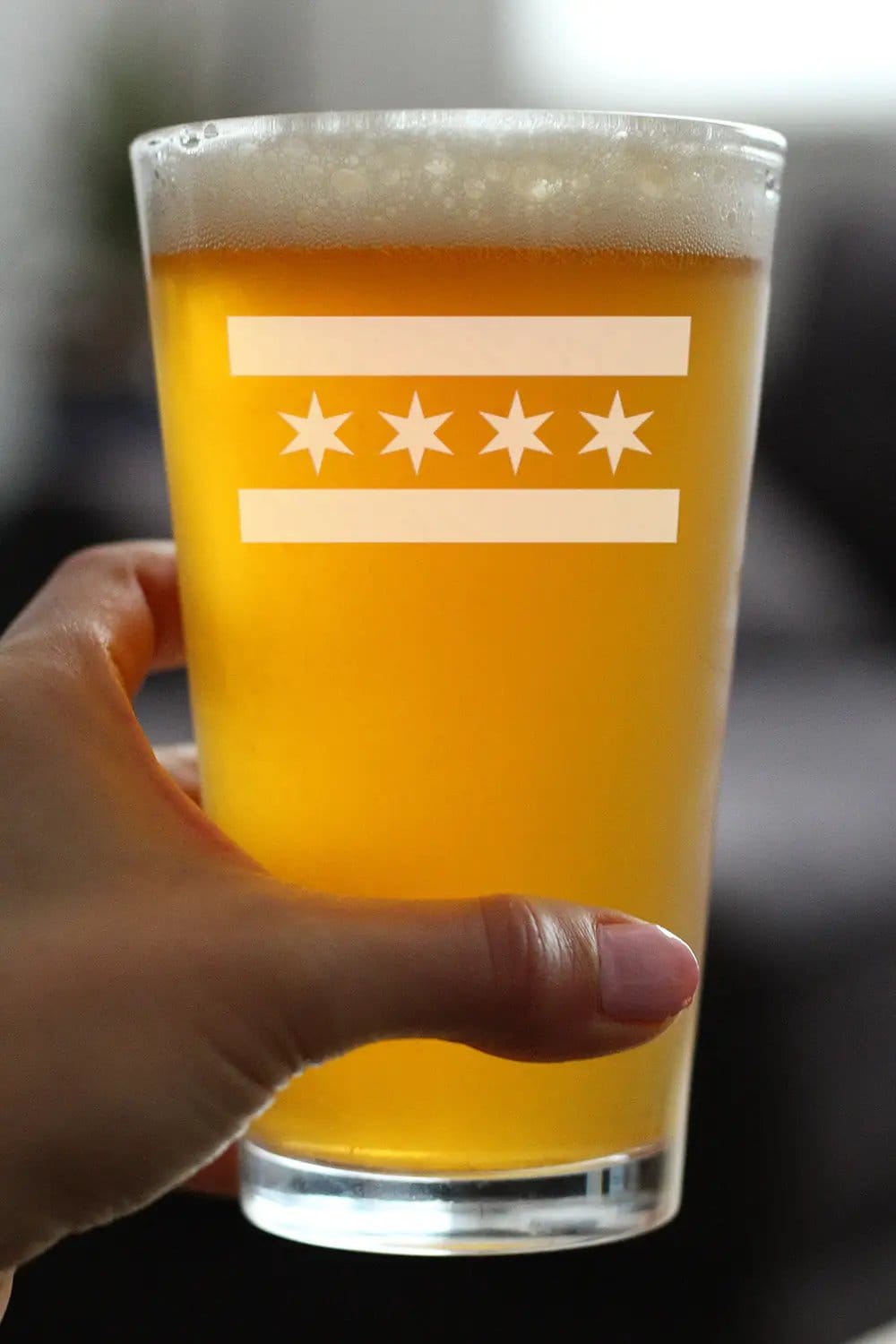 Etched Pint Glass | 16 oz Beer Glass | Dishwasher Safe | Chicago Flag Fun