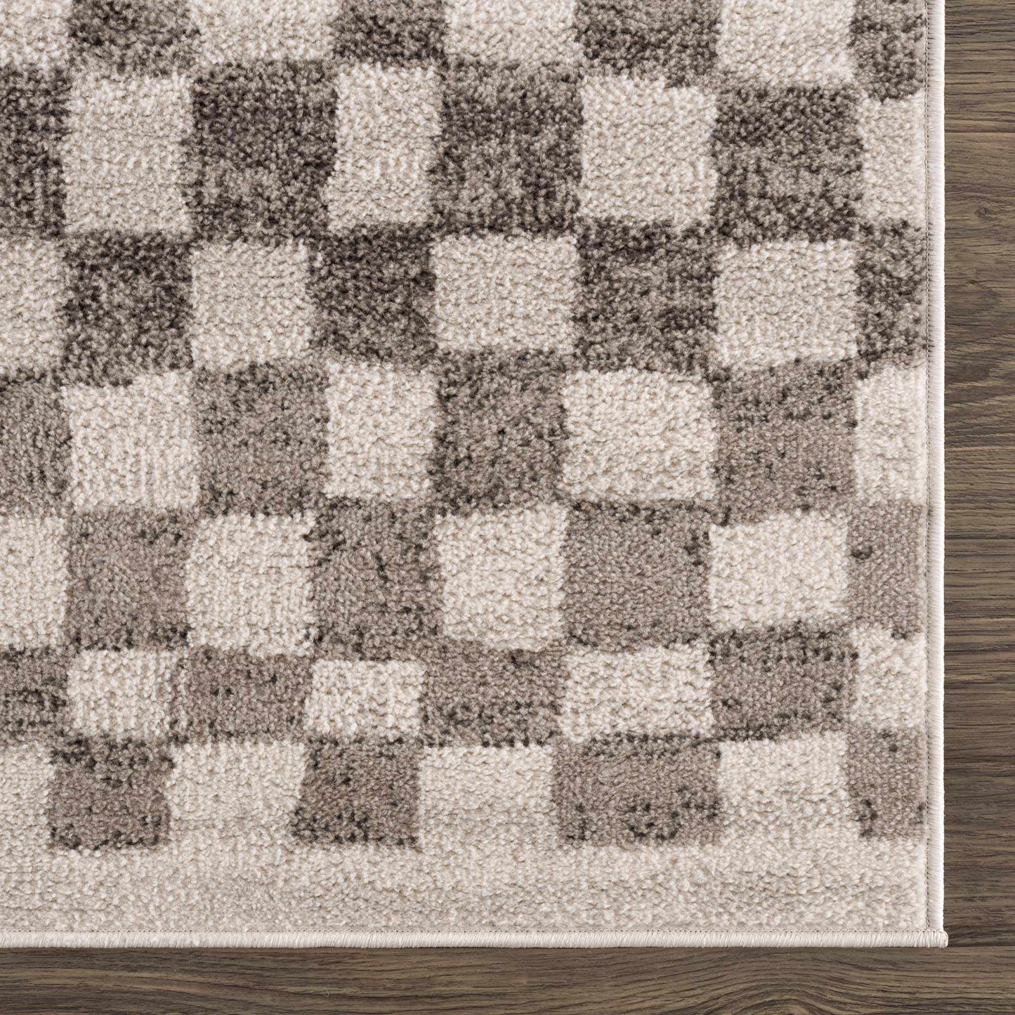 Benjy Beige Checkered Area Rug from PriceLows™