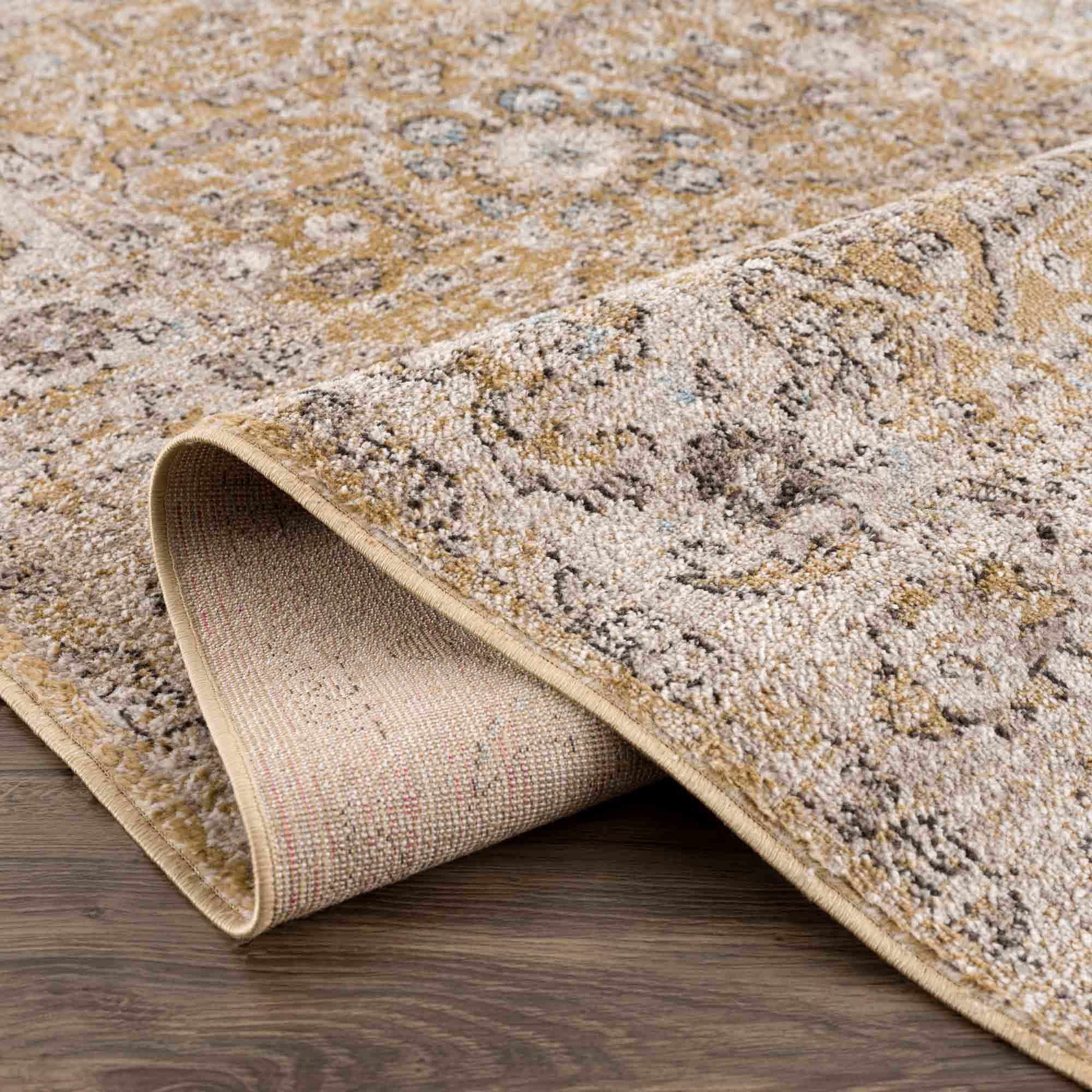 Anana Gold & Beige Area Rug from PriceLows™