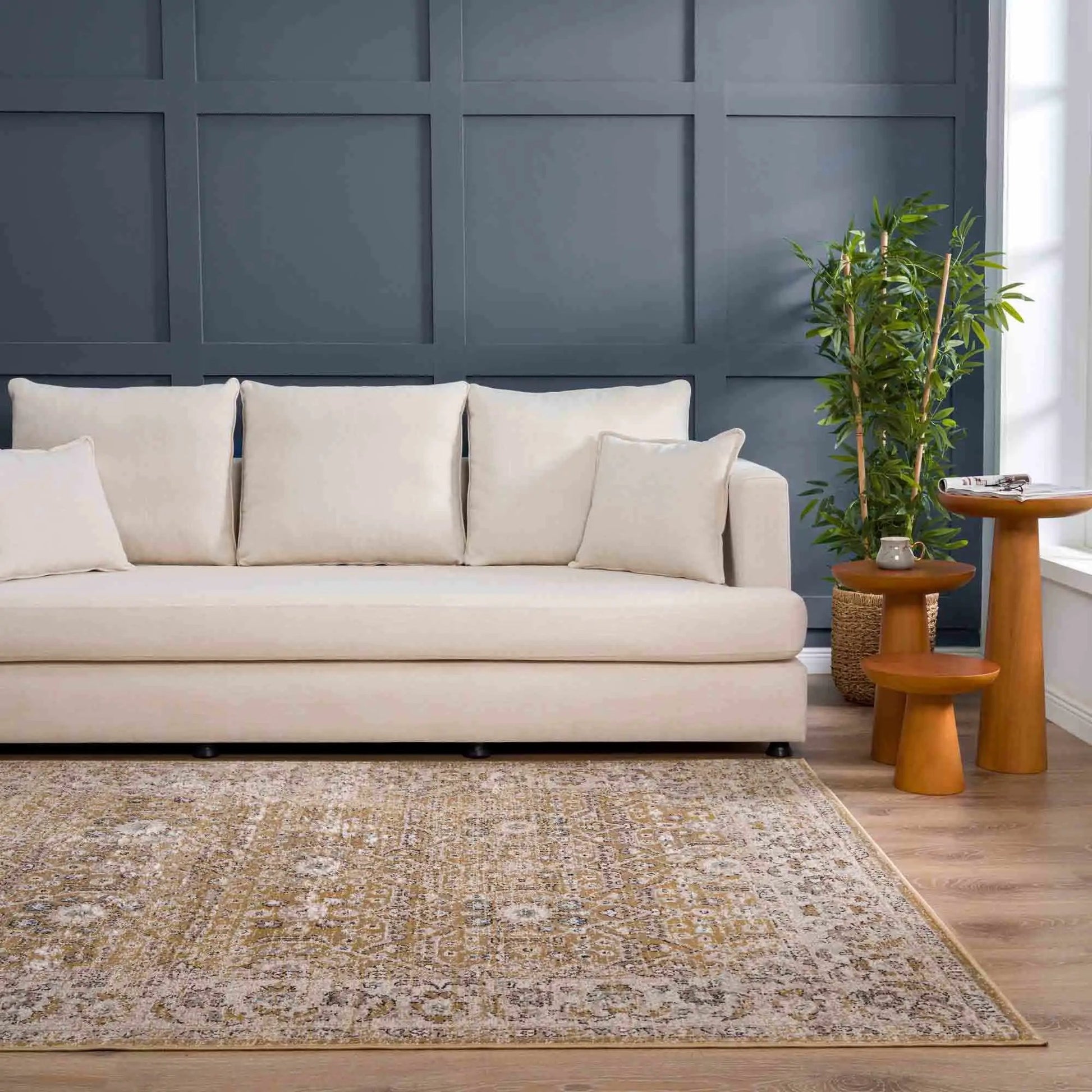 Anana Gold & Beige Area Rug from PriceLows™