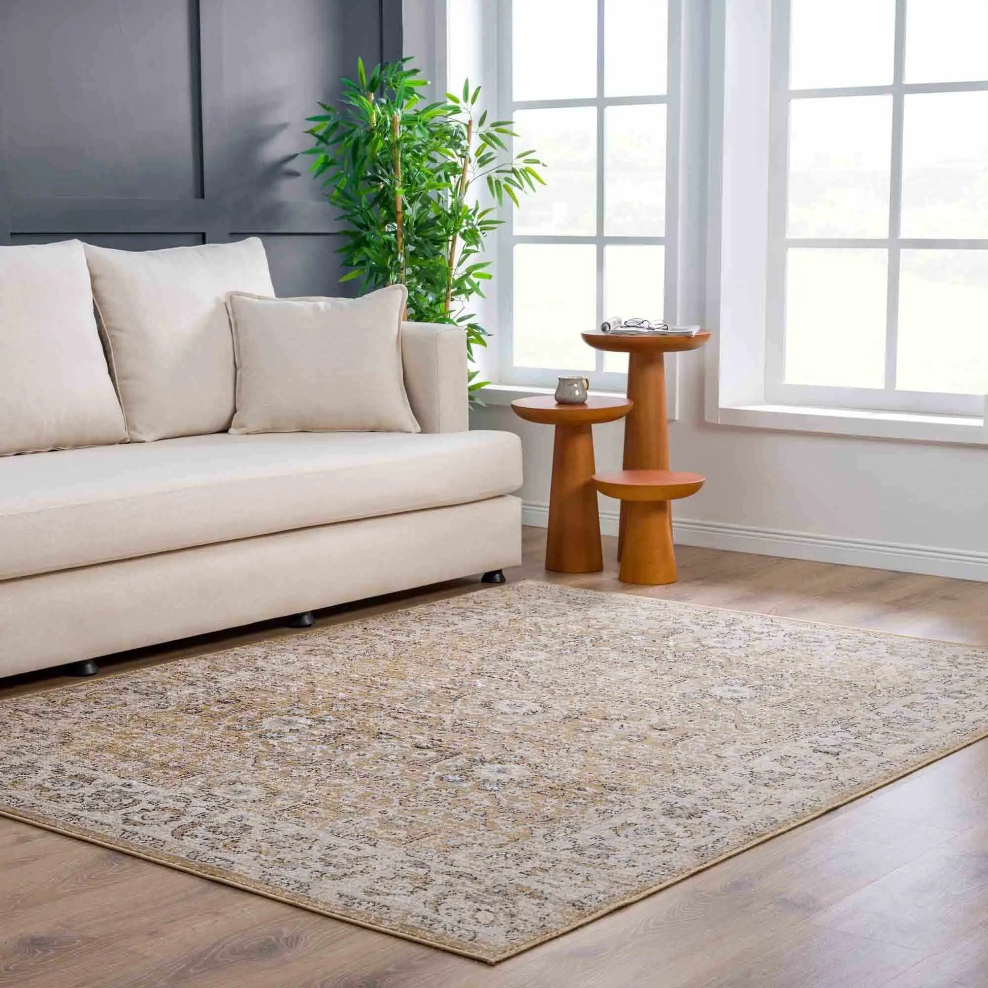 Anana Gold & Beige Area Rug from PriceLows™