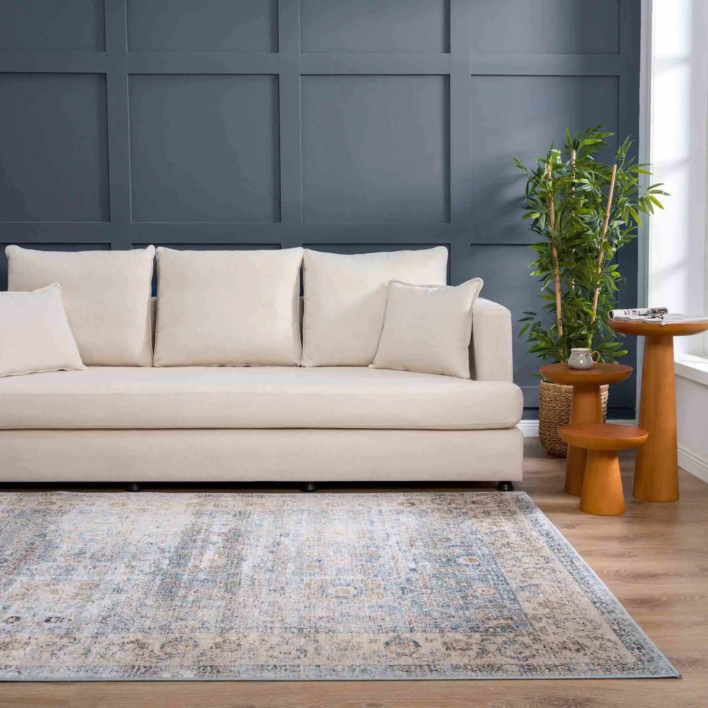 Anana Silver Blue & Beige Area Rug from PriceLows™