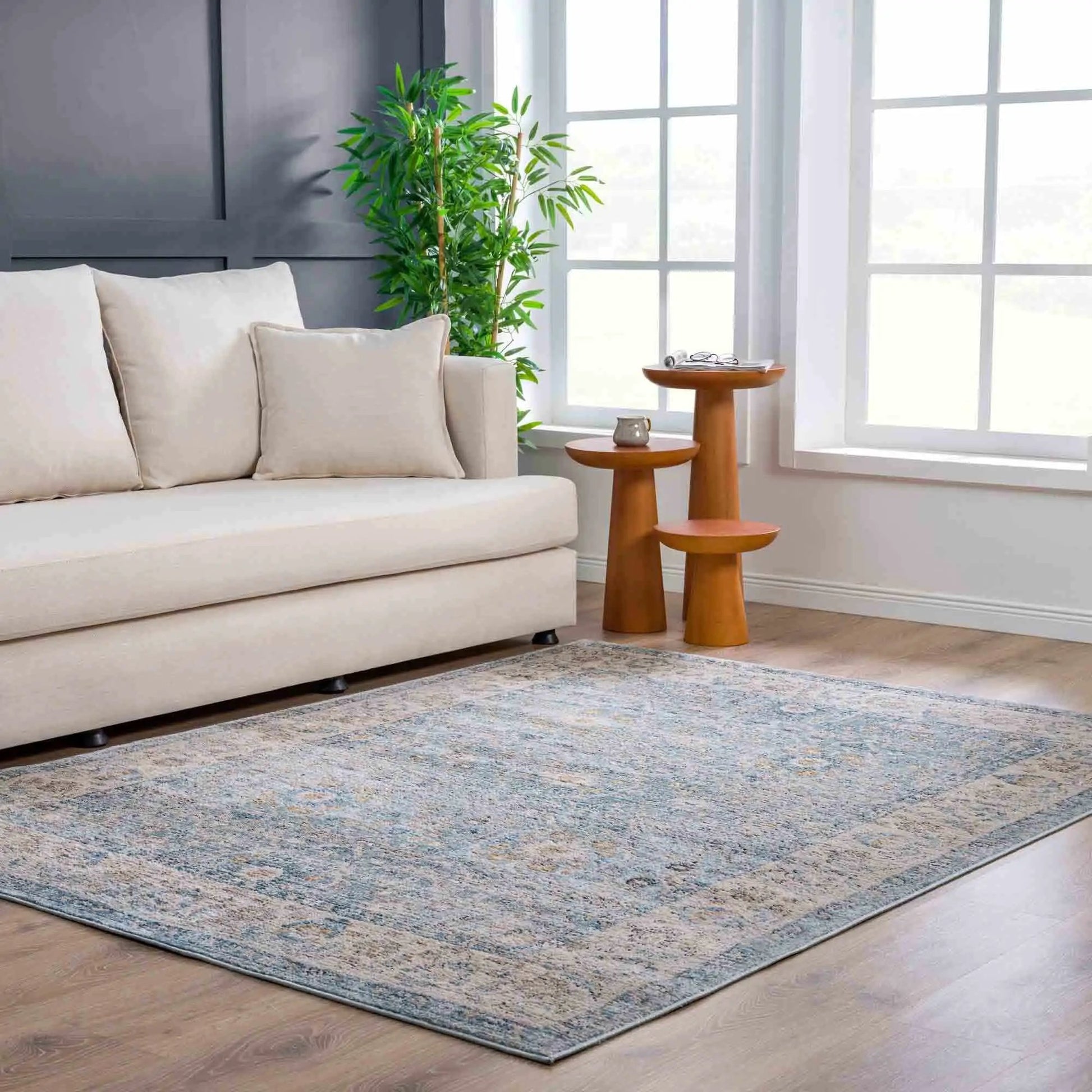 Anana Silver Blue & Beige Area Rug from PriceLows™