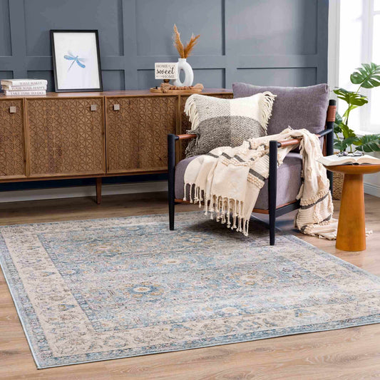 Anana Silver Blue & Beige Area Rug from PriceLows™