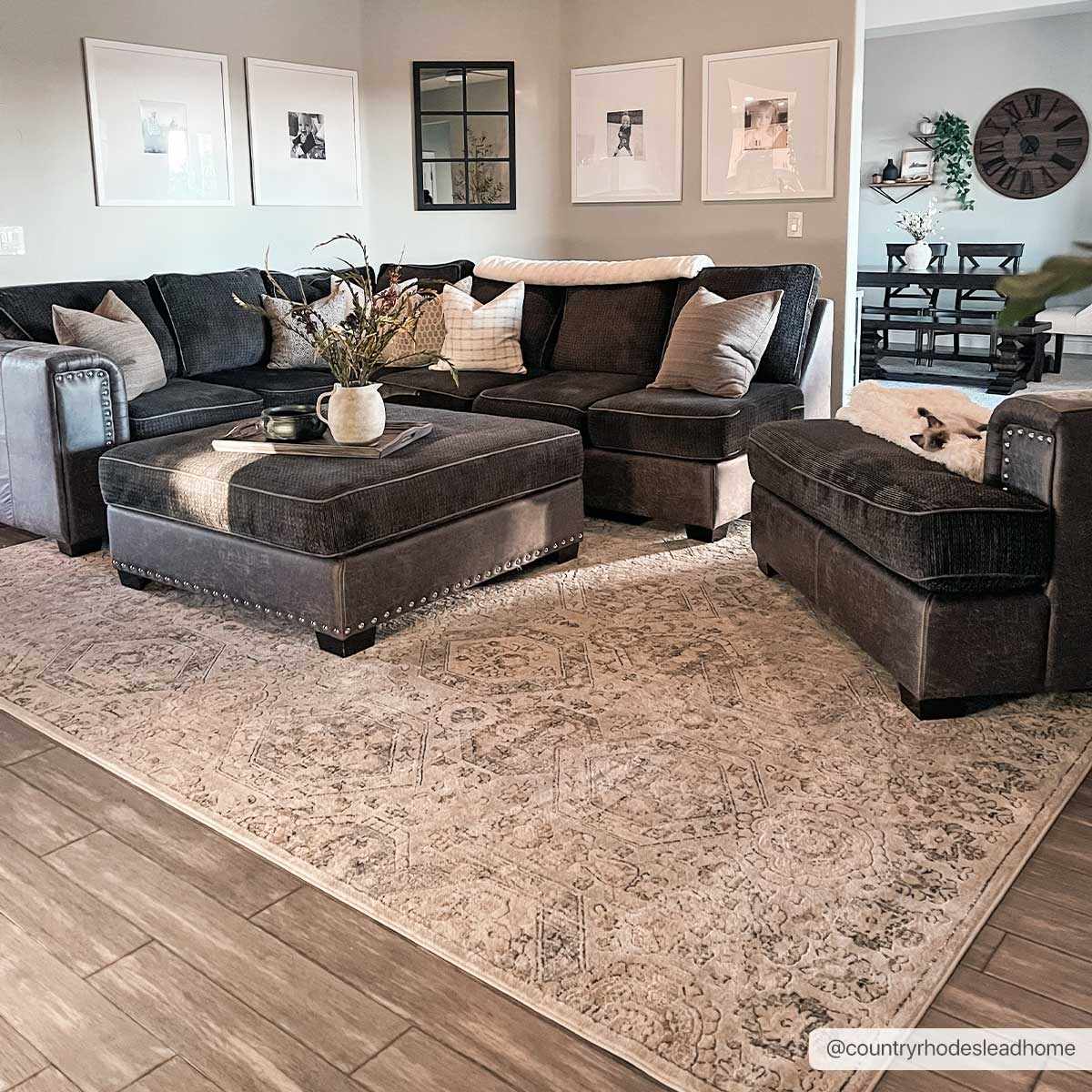 Parkerfield Area Rug from PriceLows™