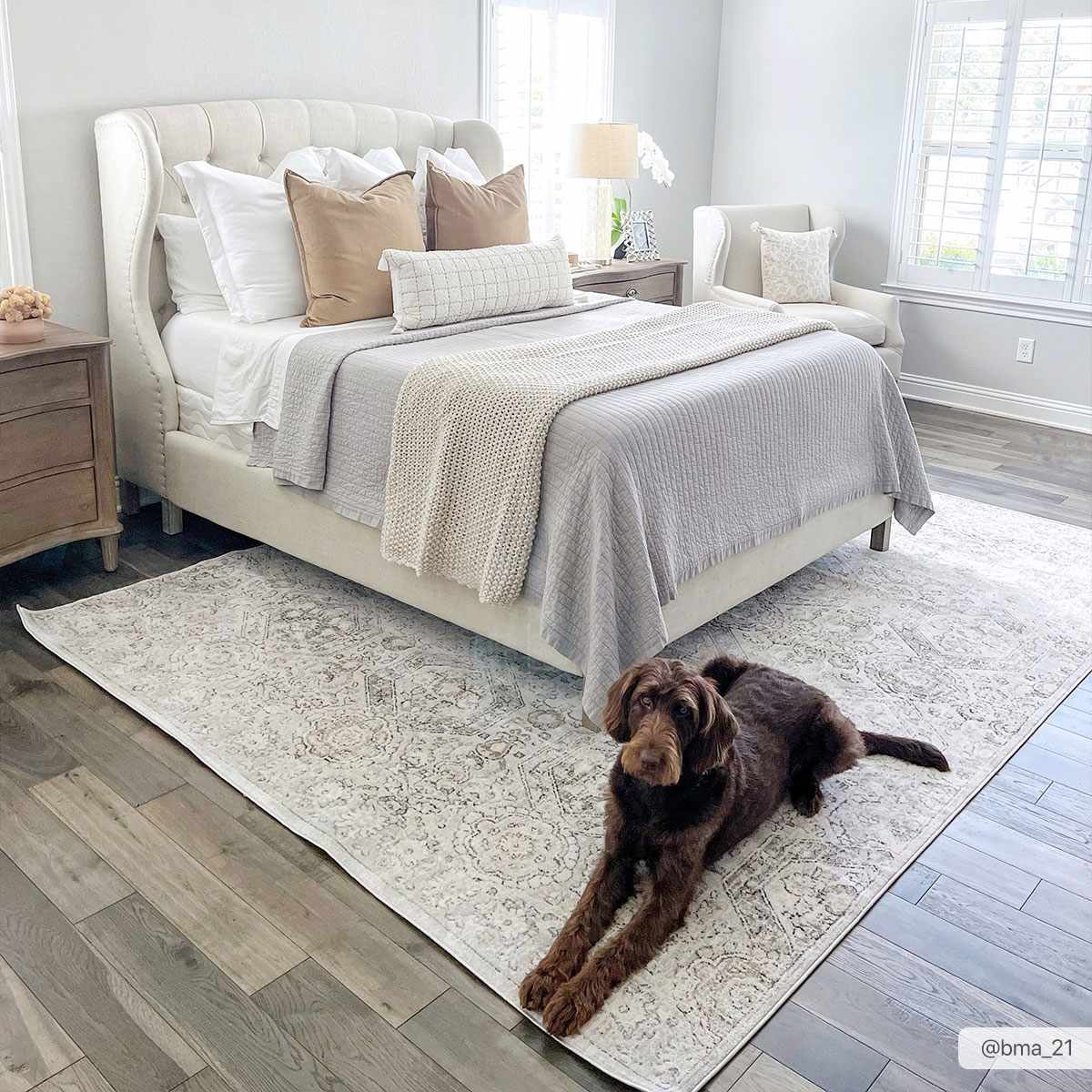 Parkerfield Area Rug from PriceLows™