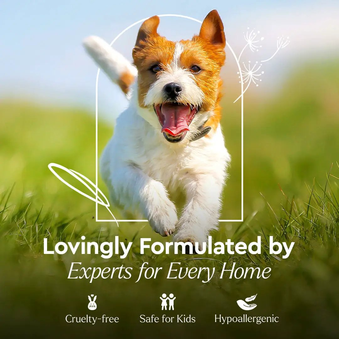 Pet Stain & Odor Remover from PriceLows™