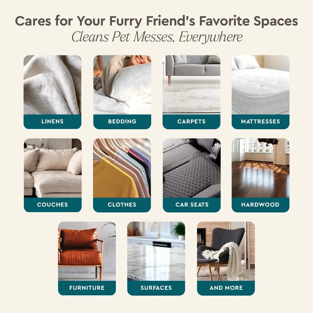 Pet Stain & Odor Remover from PriceLows™