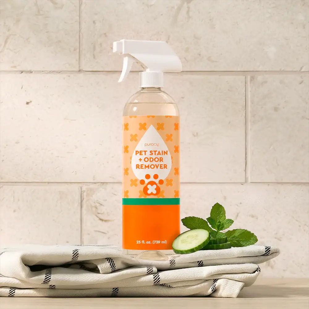 Pet Stain & Odor Remover from PriceLows™