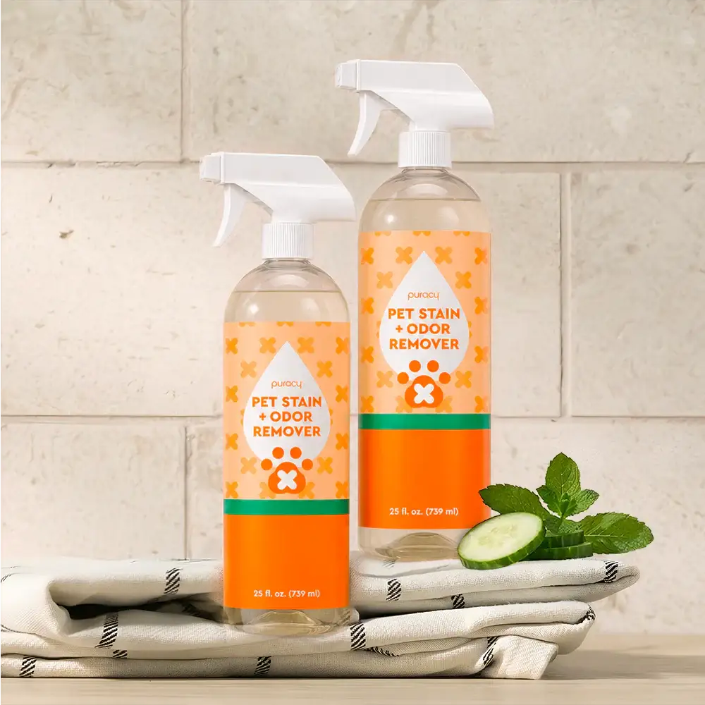 Pet Stain & Odor Remover from PriceLows™