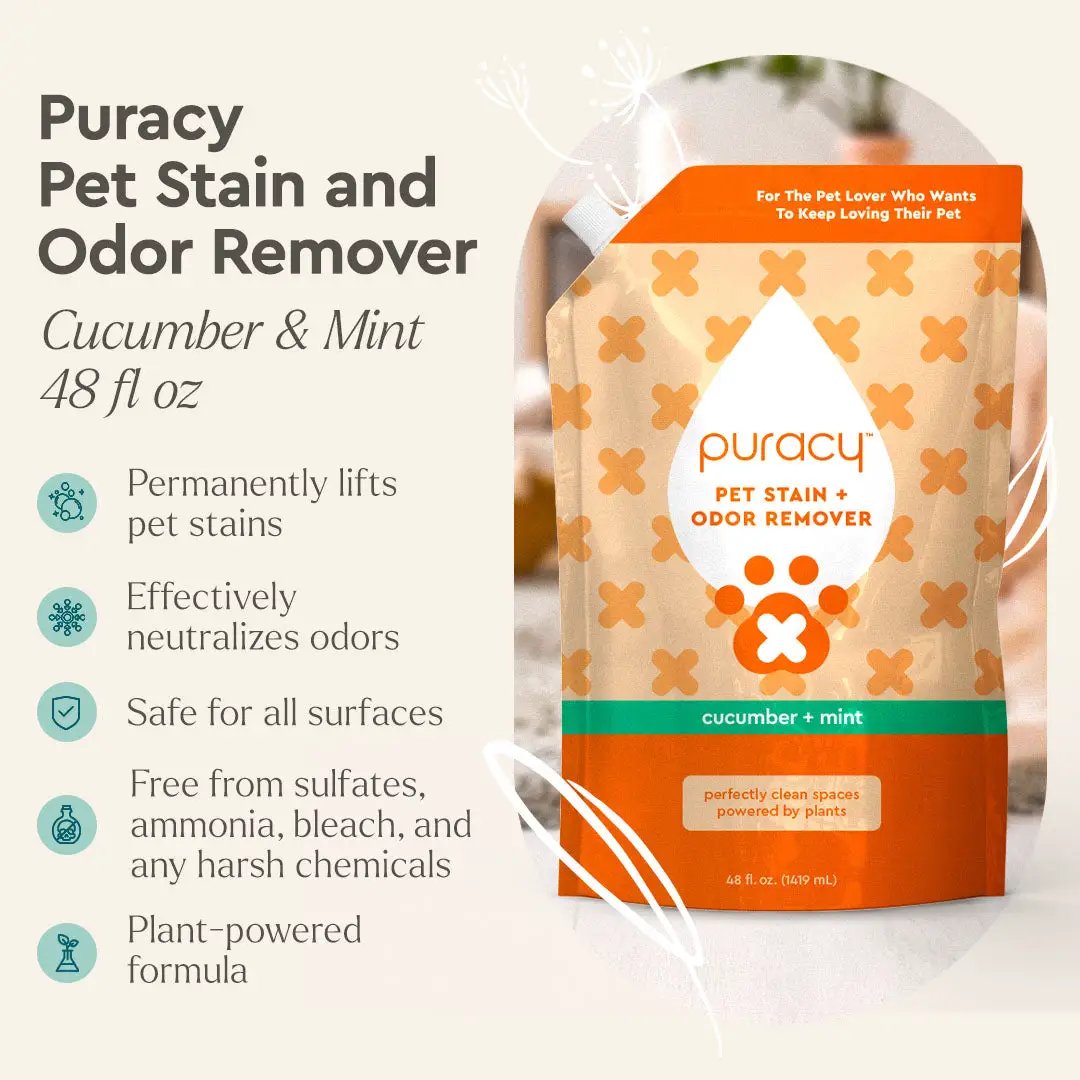Pet Stain & Odor Remover from PriceLows™