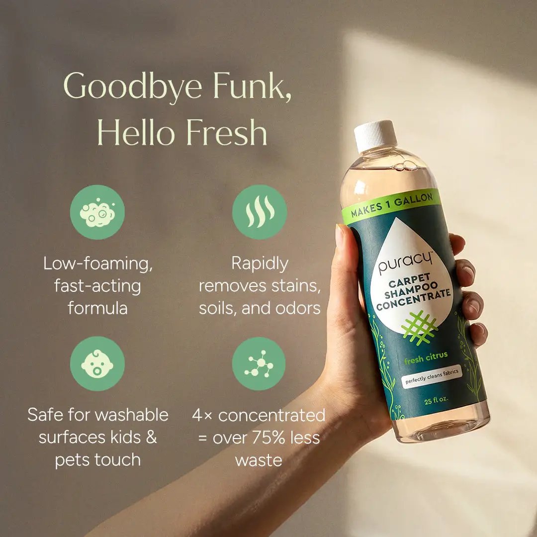 Carpet & Upholstery Shampoo from PriceLows™