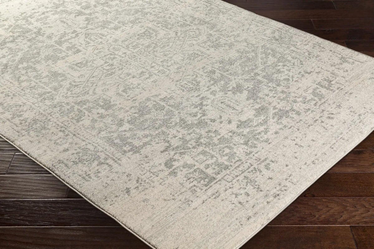 Rachel Area Rug from PriceLows™