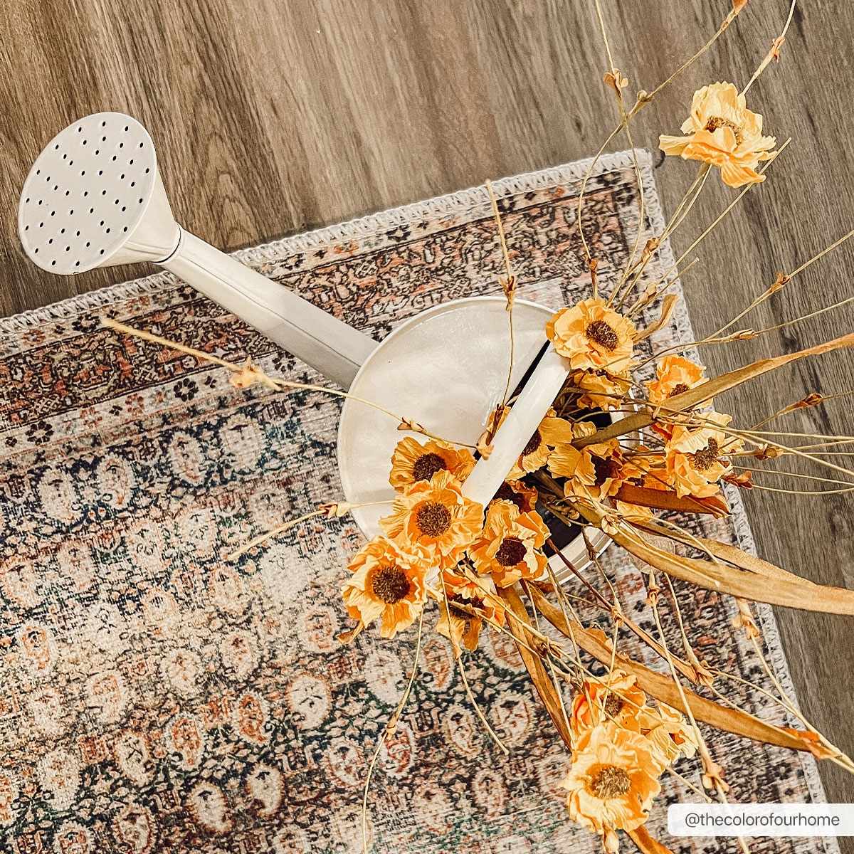 Rust Maligaya Distressed Washable Area Rug from PriceLows™