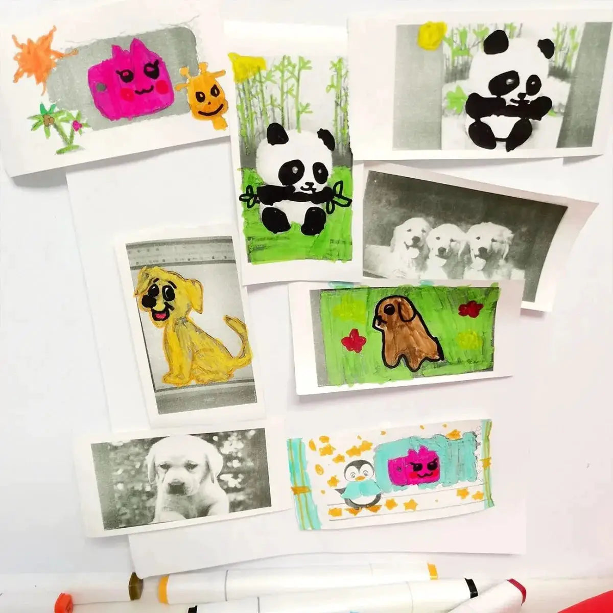 Instant Camera Paper | 57mm Coreless | Thermal Printing | 12 Rolls