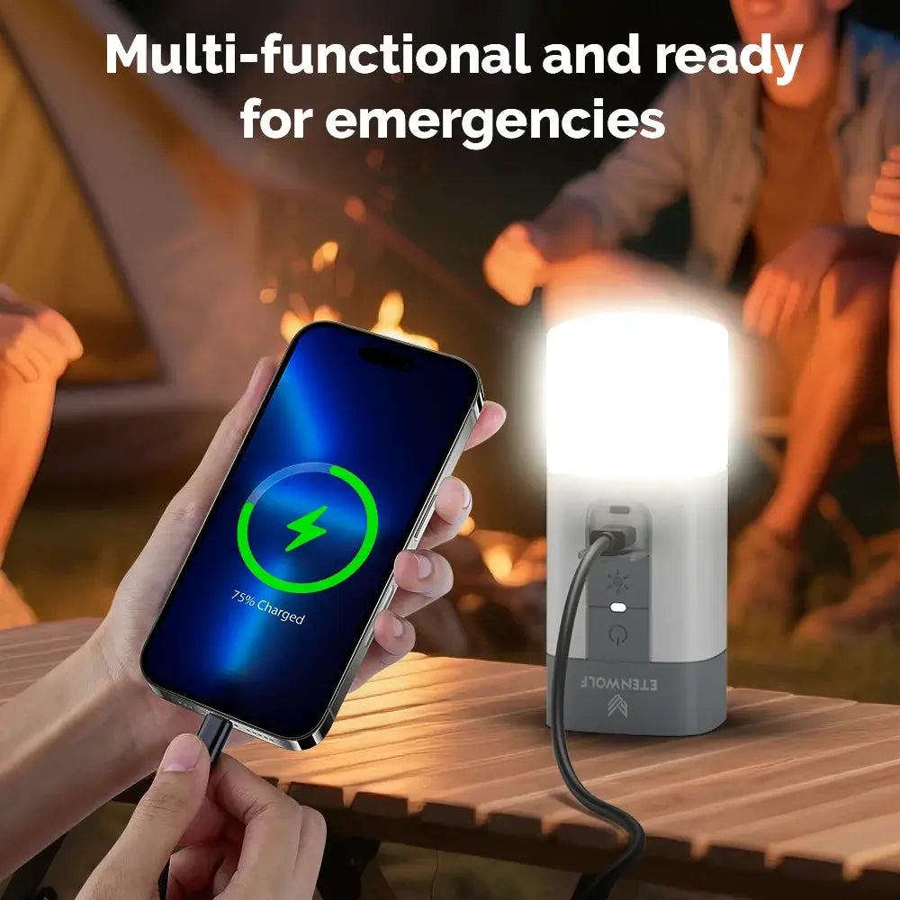 Electric Air Pump | 720 LPM | 10400 mAh | Air 5 Pro