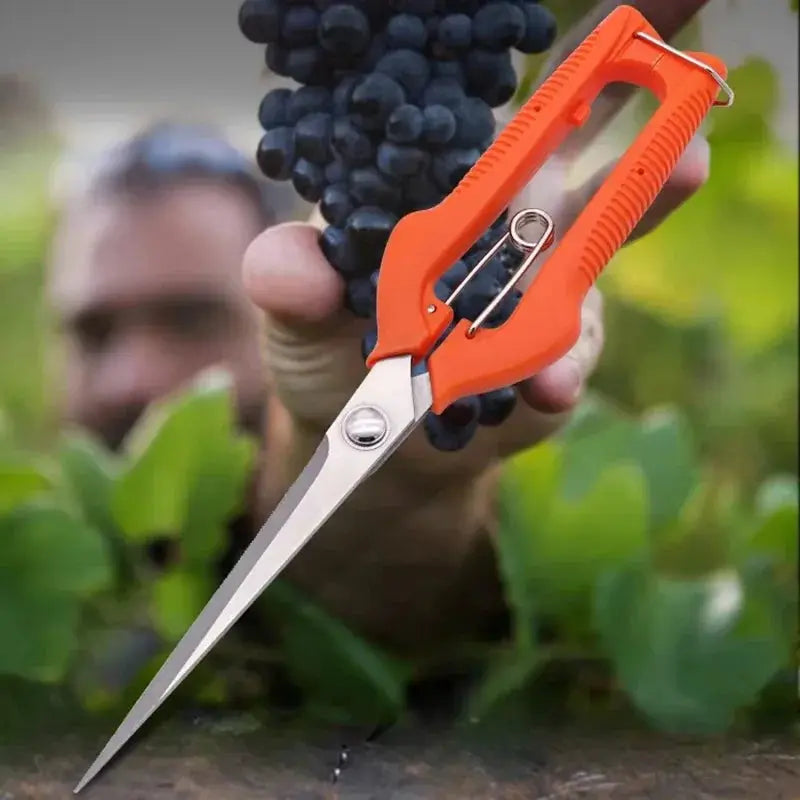 Pruning Shears Grape Scissors Garden Tool Vegetable Patch Bonsai Professional Stainless Steel Fruit Picking With Lock New from PriceLows™